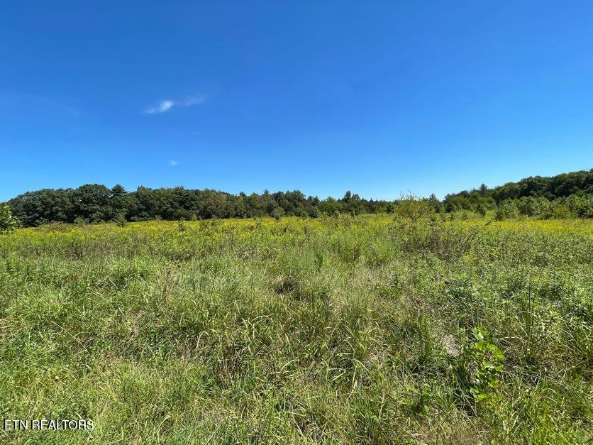 9.8 Acres Tyler Trail Jamestown TN 38556