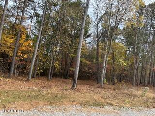 440 Cody Lane Madisonville TN 37354