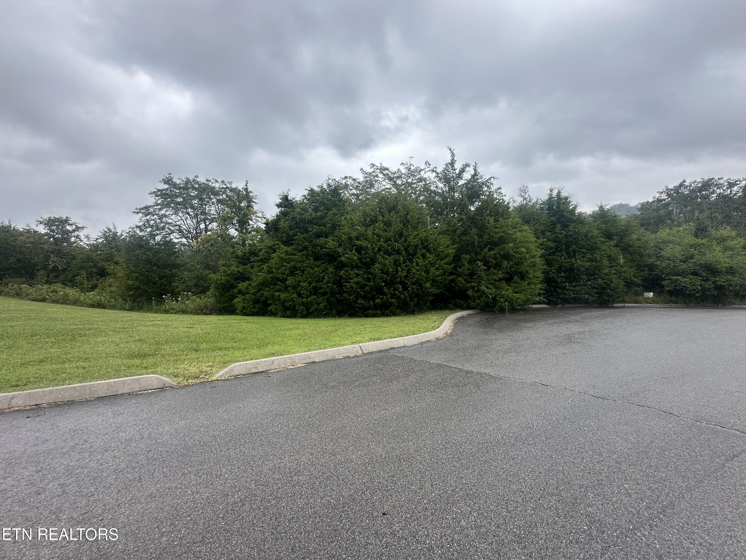 Tbd Caddy Court Tazewell TN 37879