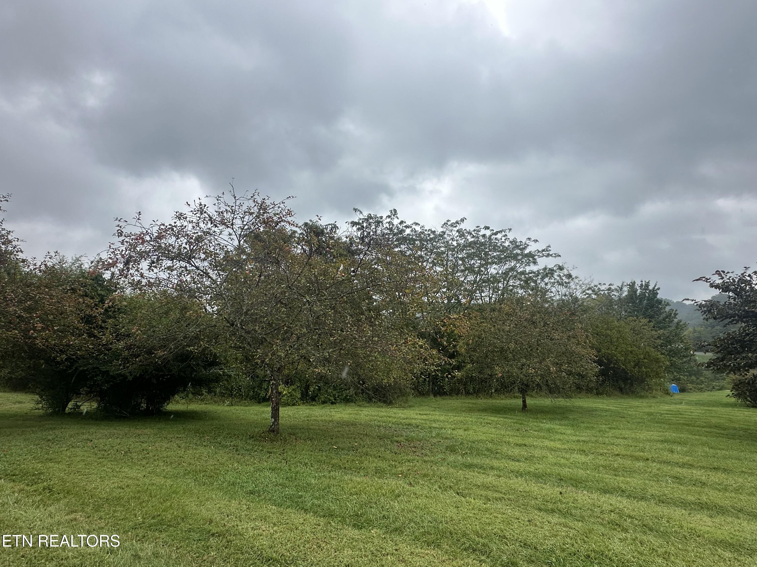 Tbd Caddy Court Tazewell TN 37879