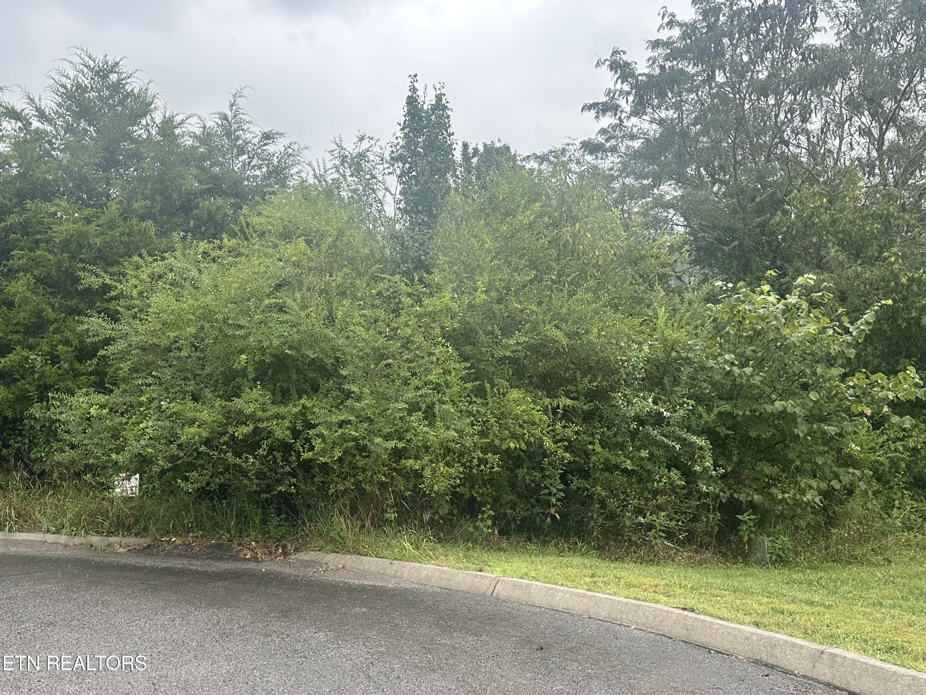 Tbd Caddy Court Tazewell TN 37879