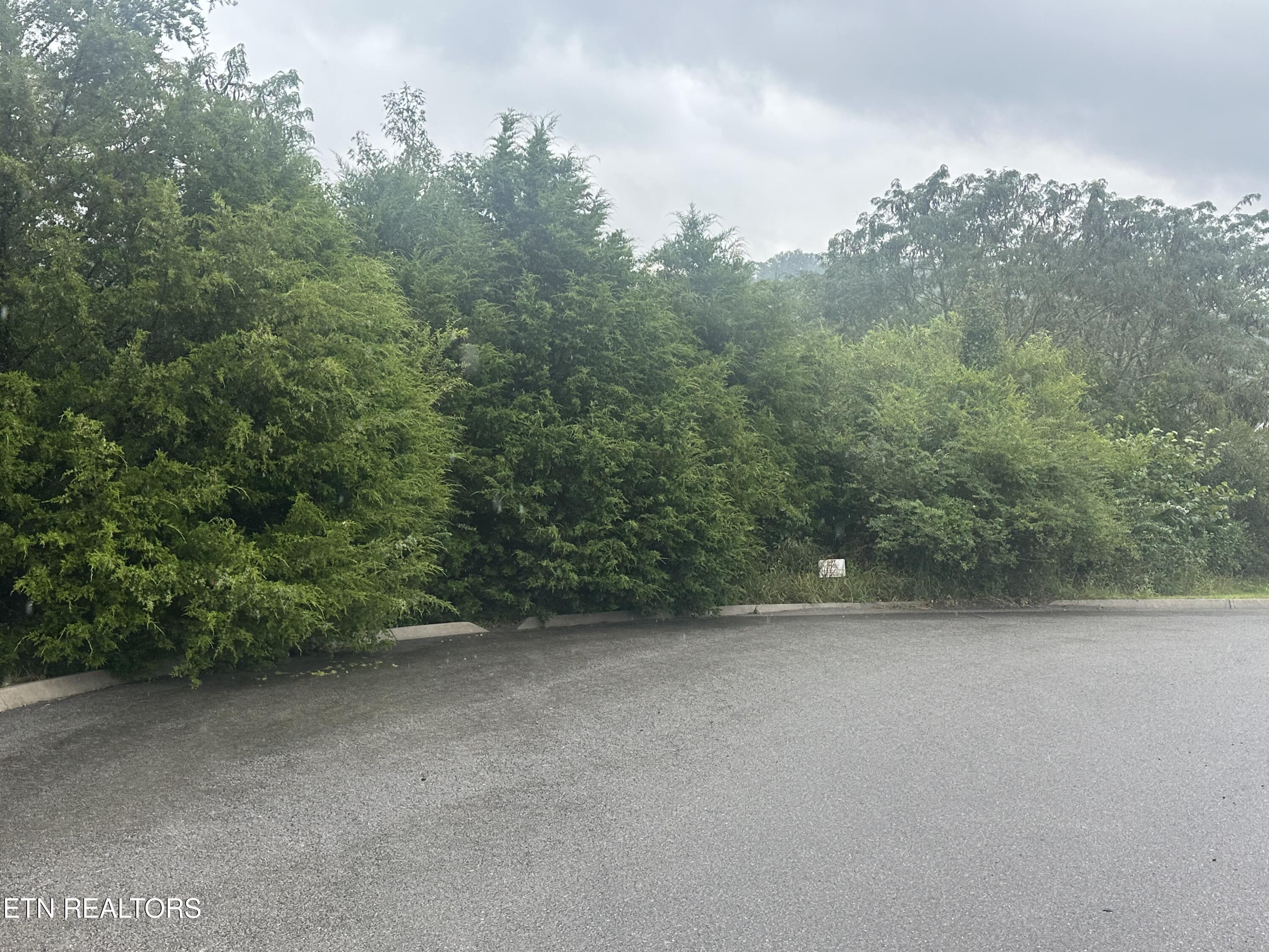 Tbd Caddy Court Tazewell TN 37879