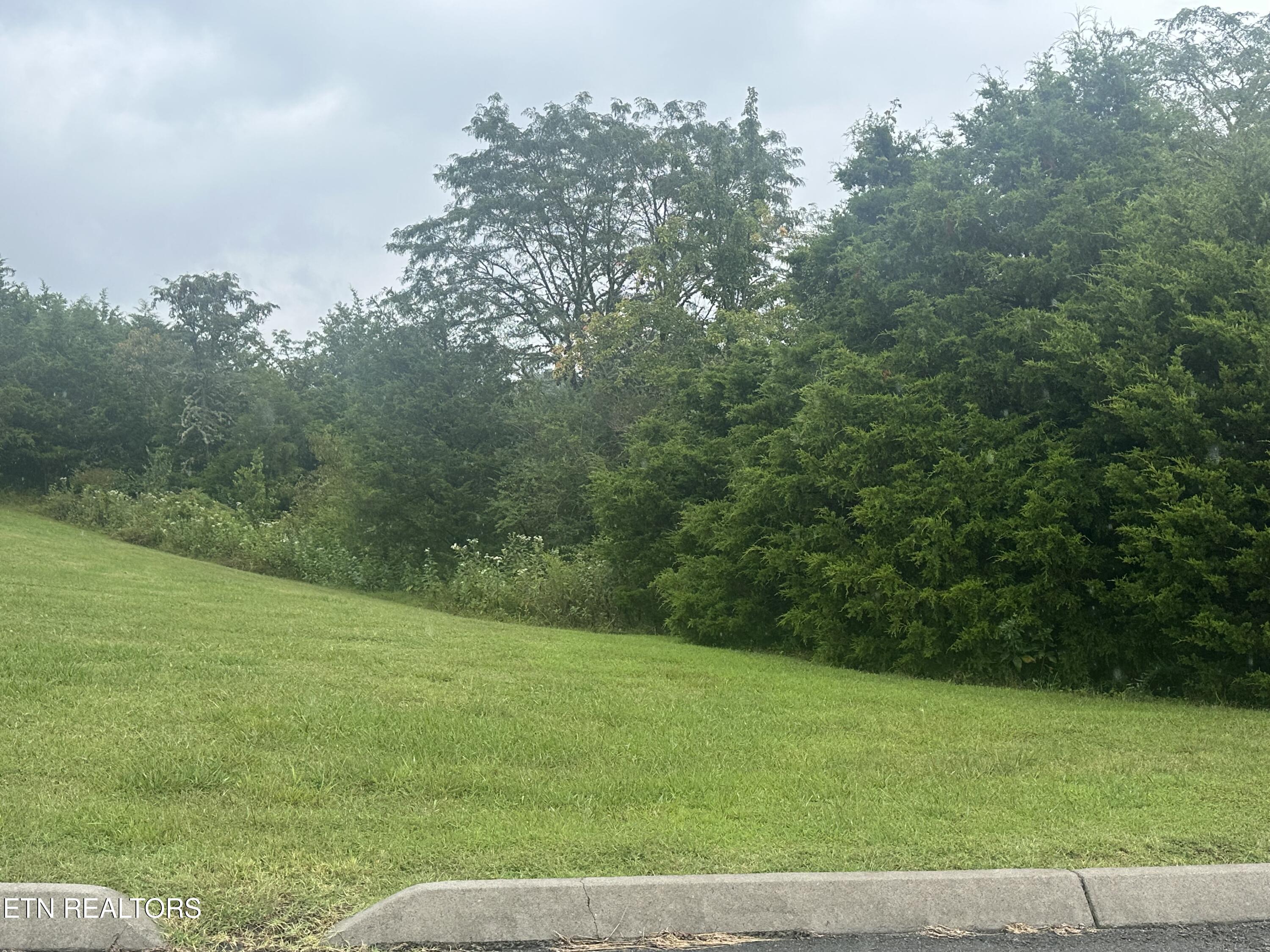 Tbd Caddy Court Tazewell TN 37879