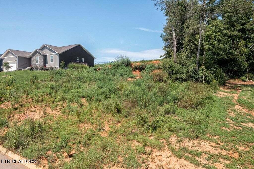 211 Mockingbird Lane Dayton TN 37321