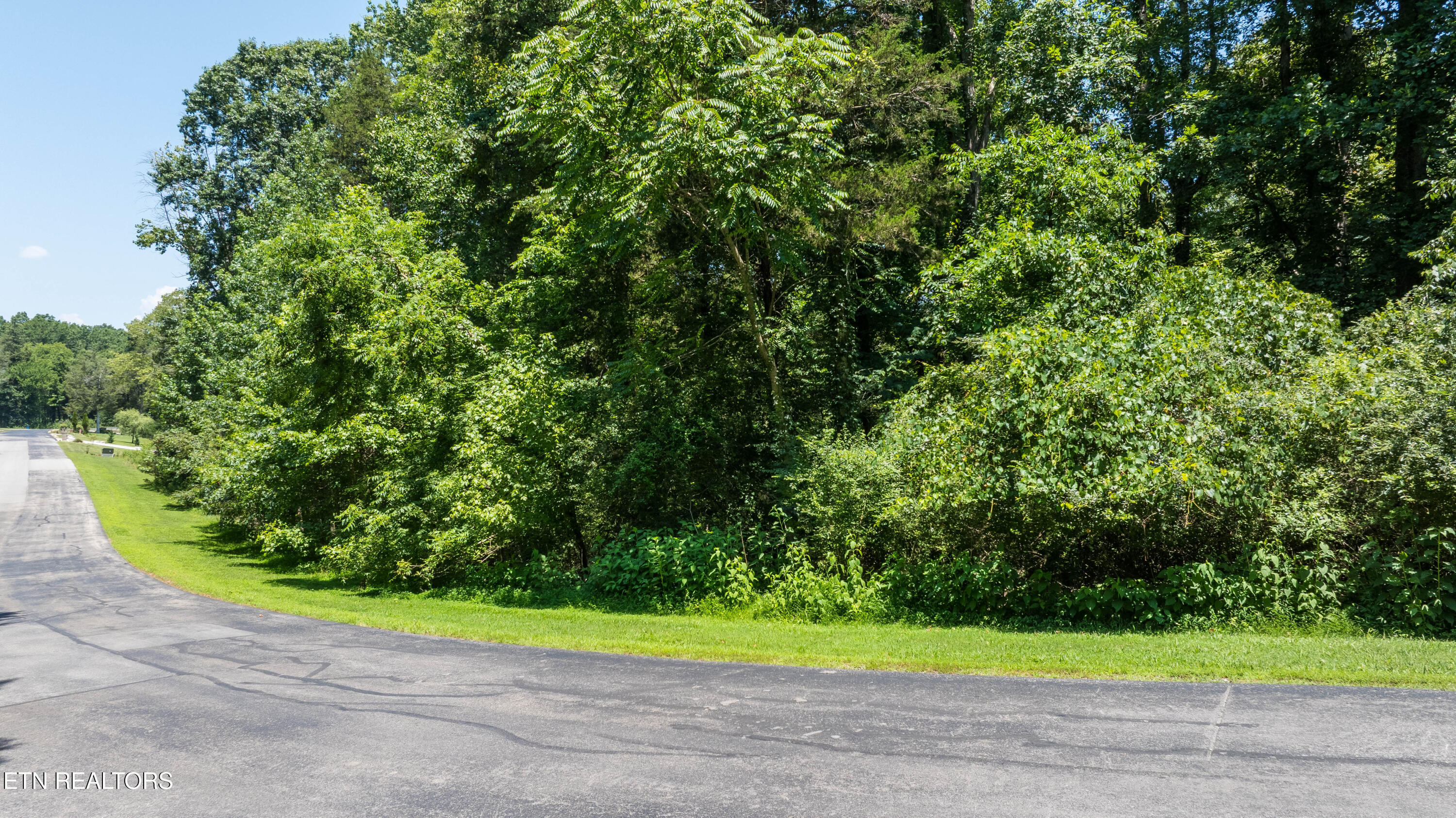 Lot 29/30 E Shore Drive Rockwood TN 37854