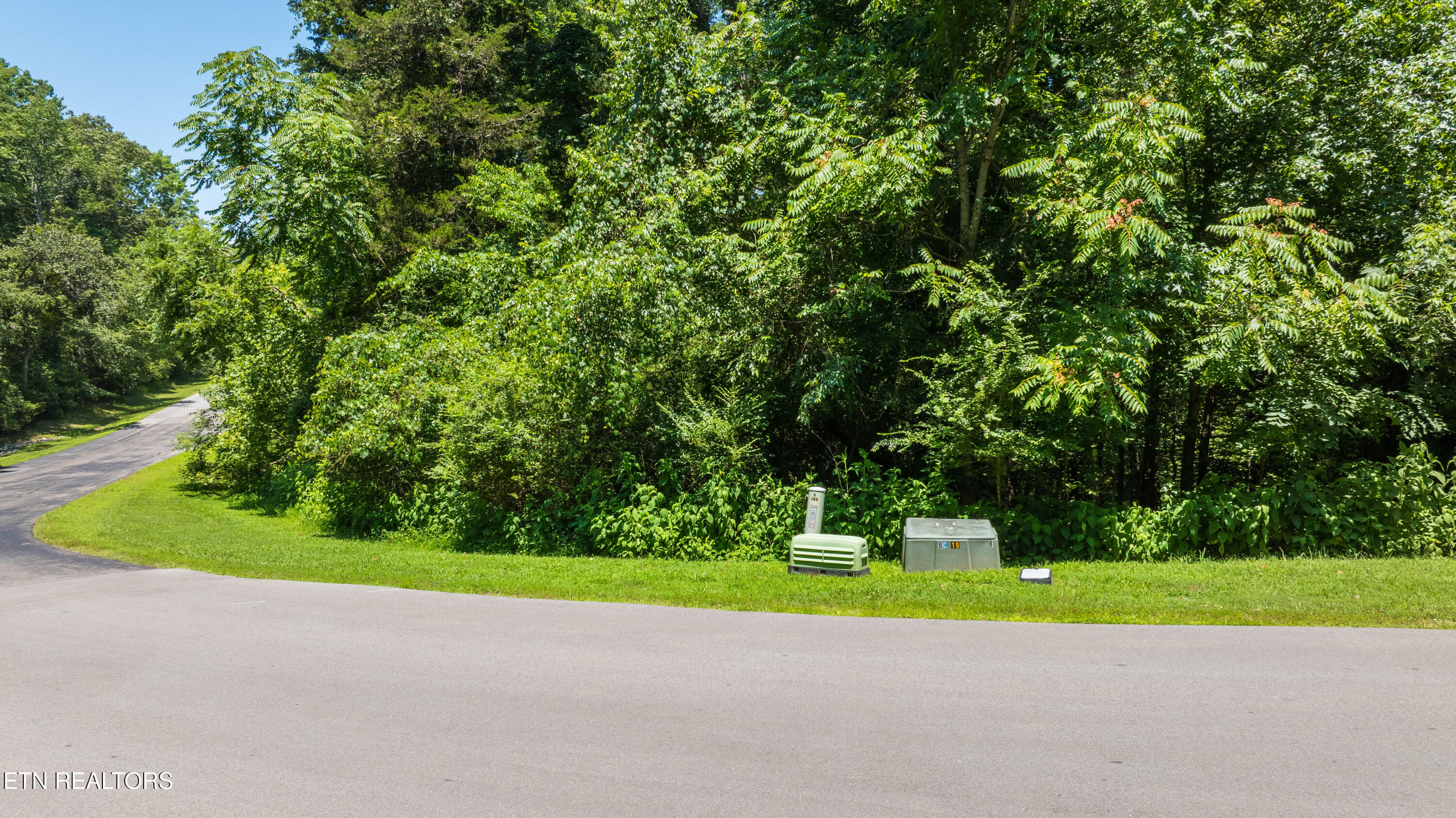 Lot 29/30 E Shore Drive Rockwood TN 37854