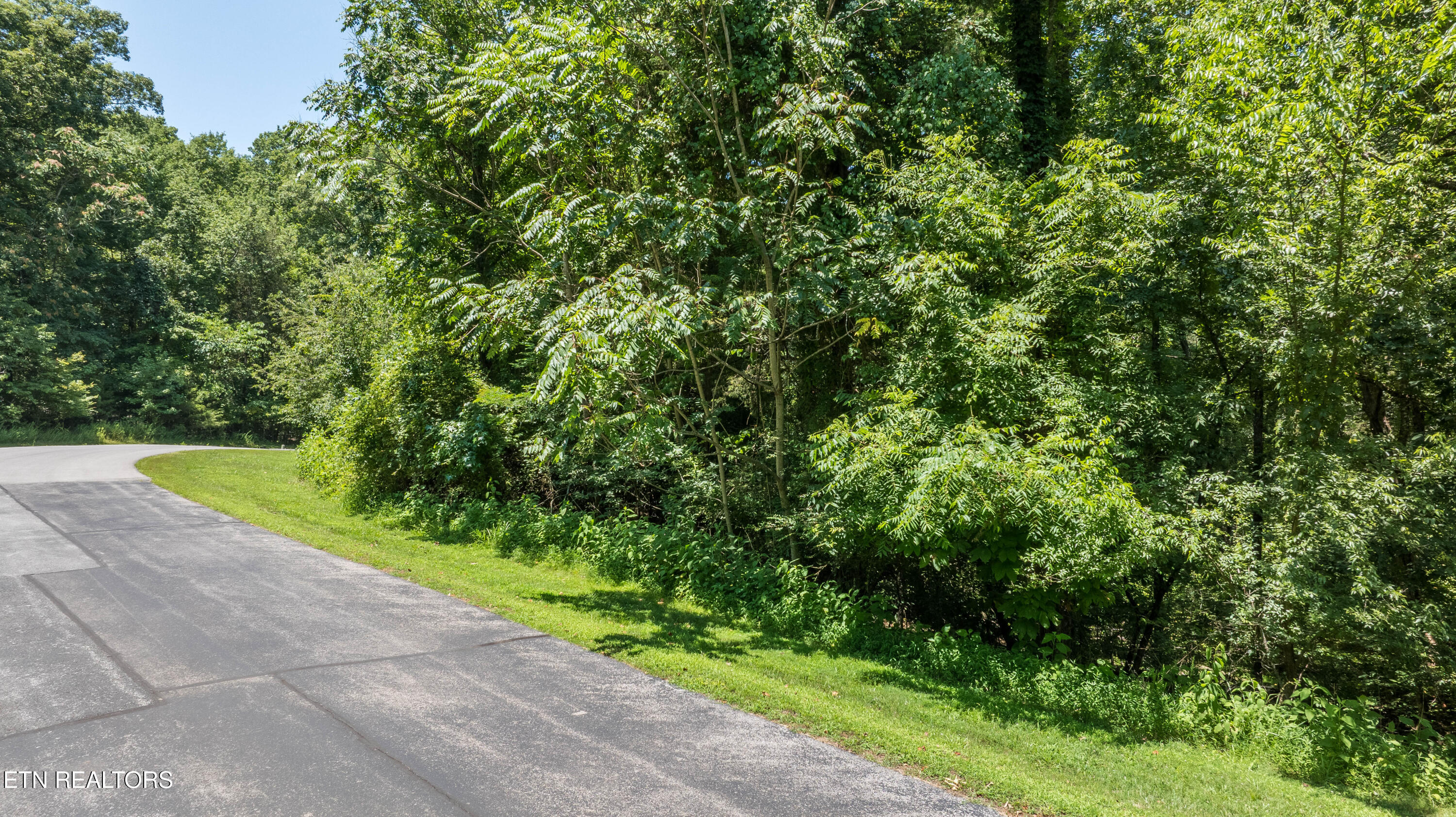 Lot 29/30 E Shore Drive Rockwood TN 37854