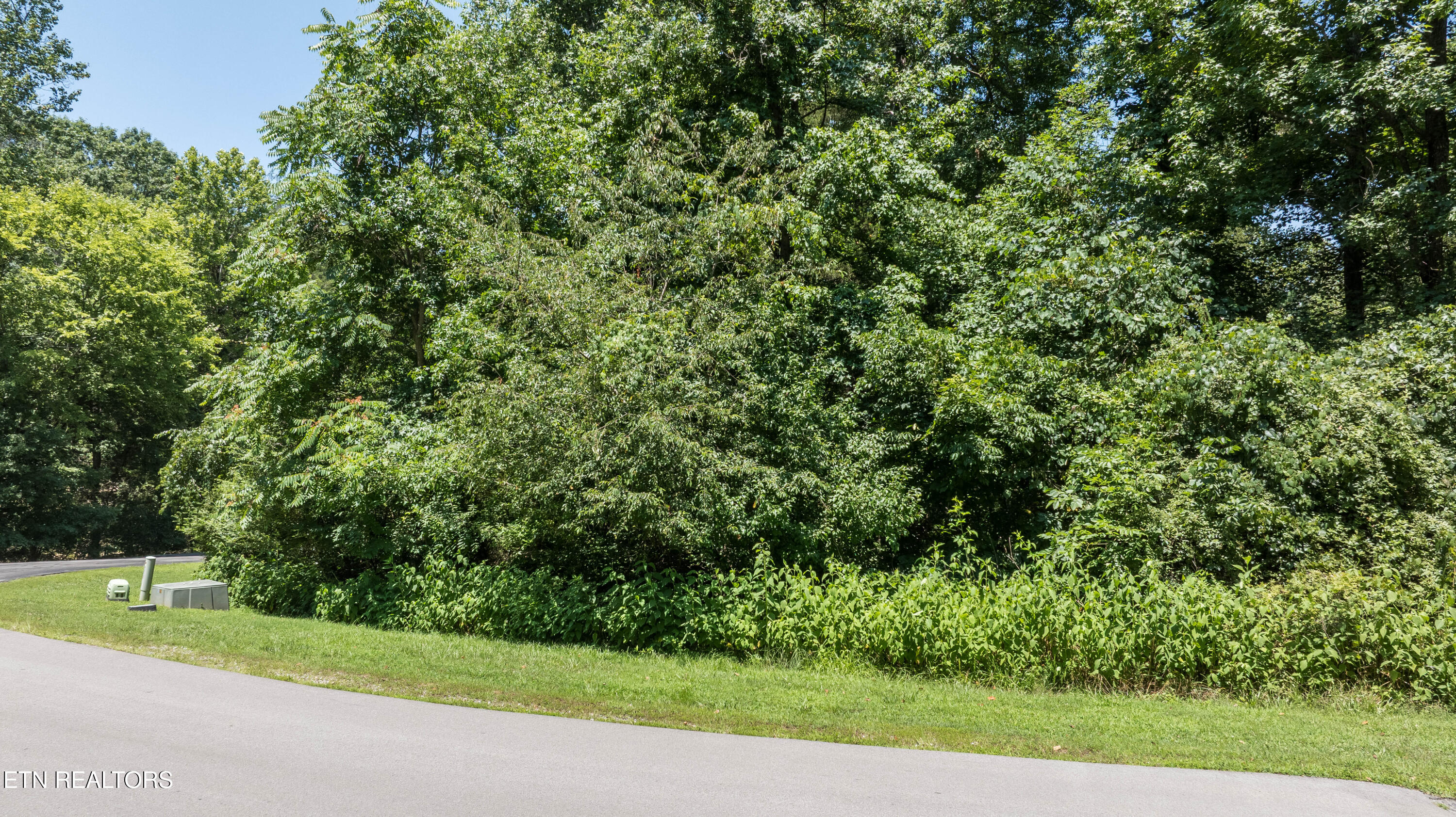 Lot 29/30 E Shore Drive Rockwood TN 37854