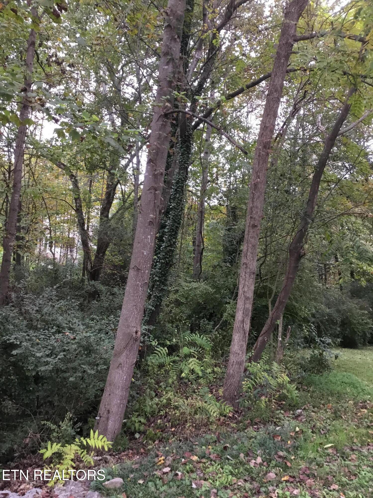 0 Timbercrest Drive Clinton TN 37716