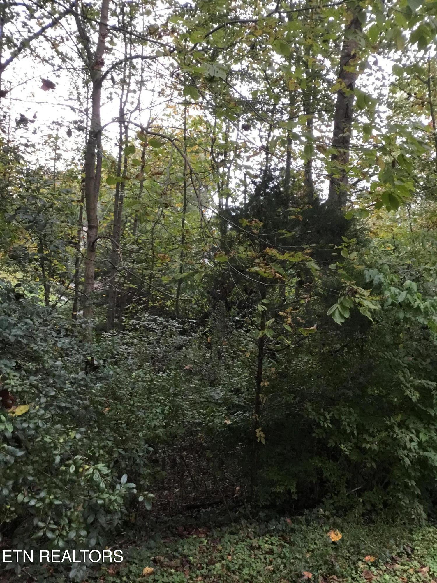 0 Timbercrest Drive Clinton TN 37716