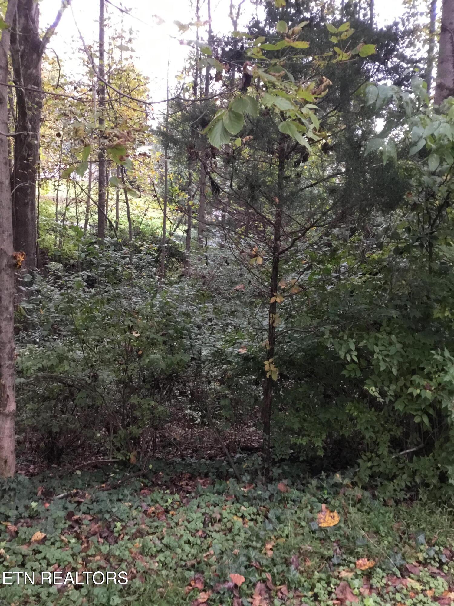 0 Timbercrest Drive Clinton TN 37716
