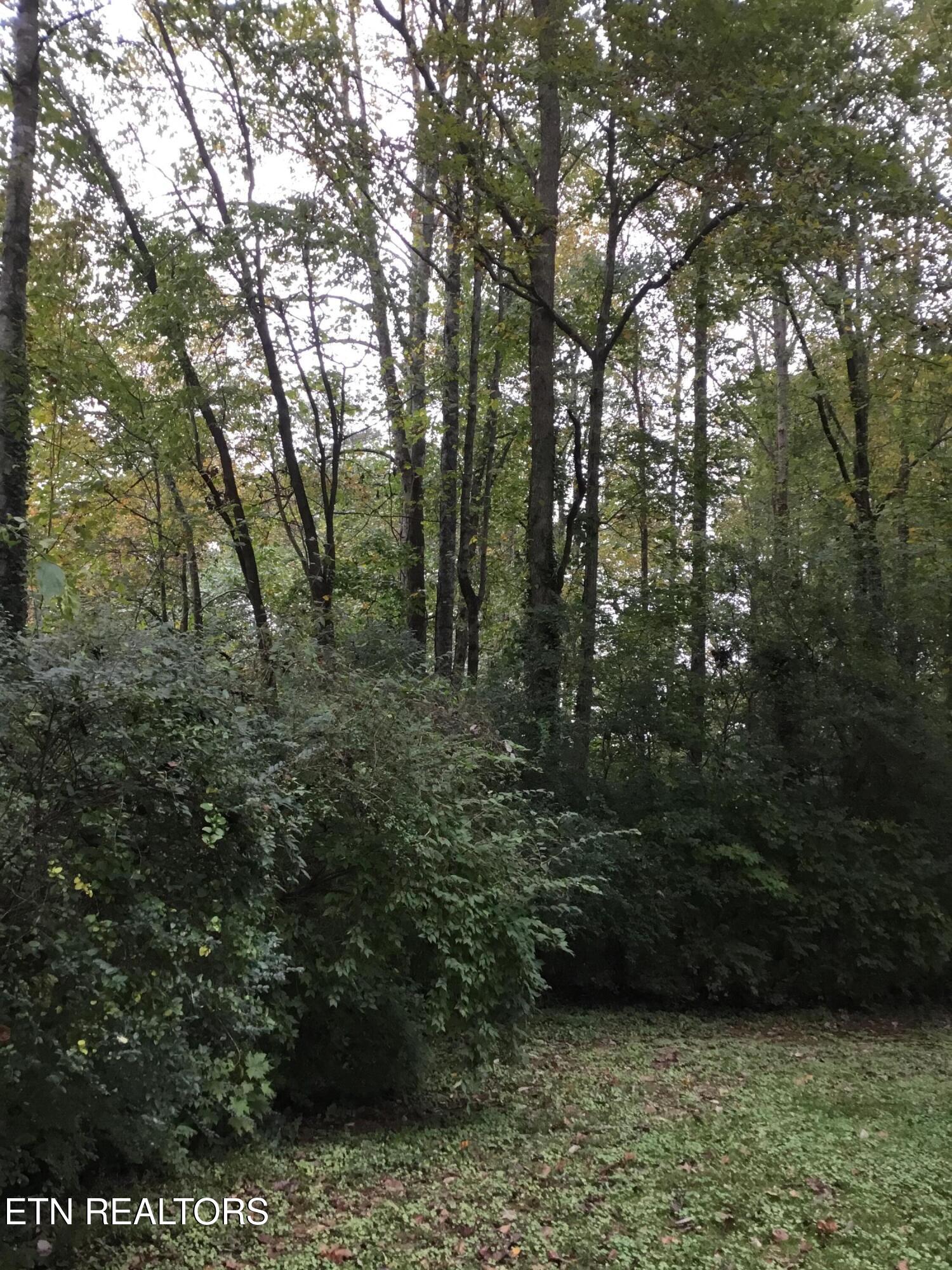 0 Timbercrest Drive Clinton TN 37716
