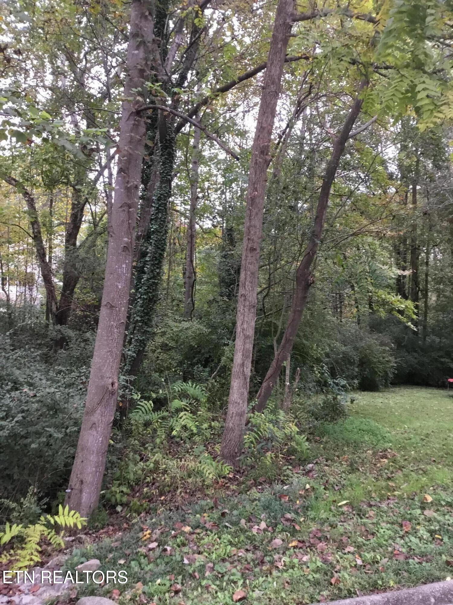 0 Timbercrest Drive Clinton TN 37716