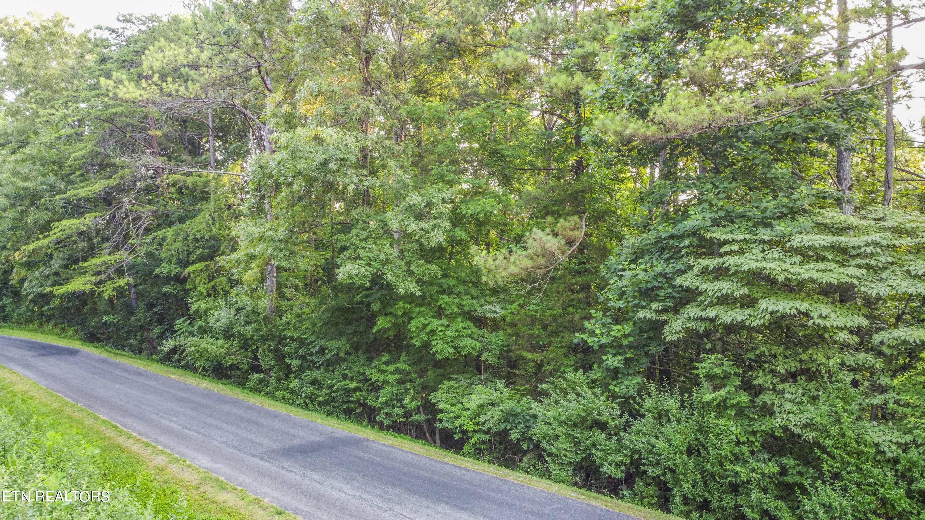 131 Sasa Way Loudon TN 37774