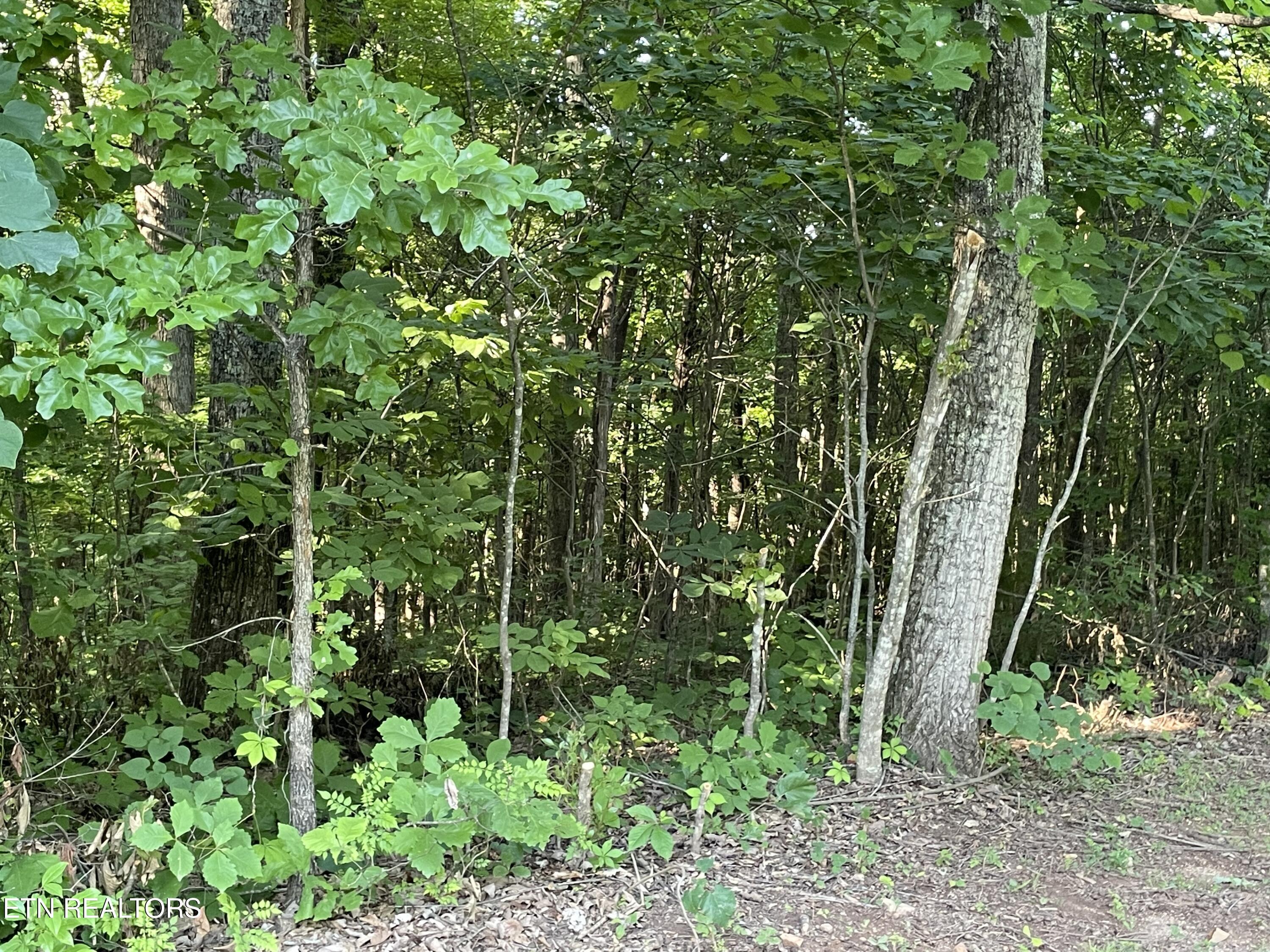Highway 411 Madisonville TN 37354