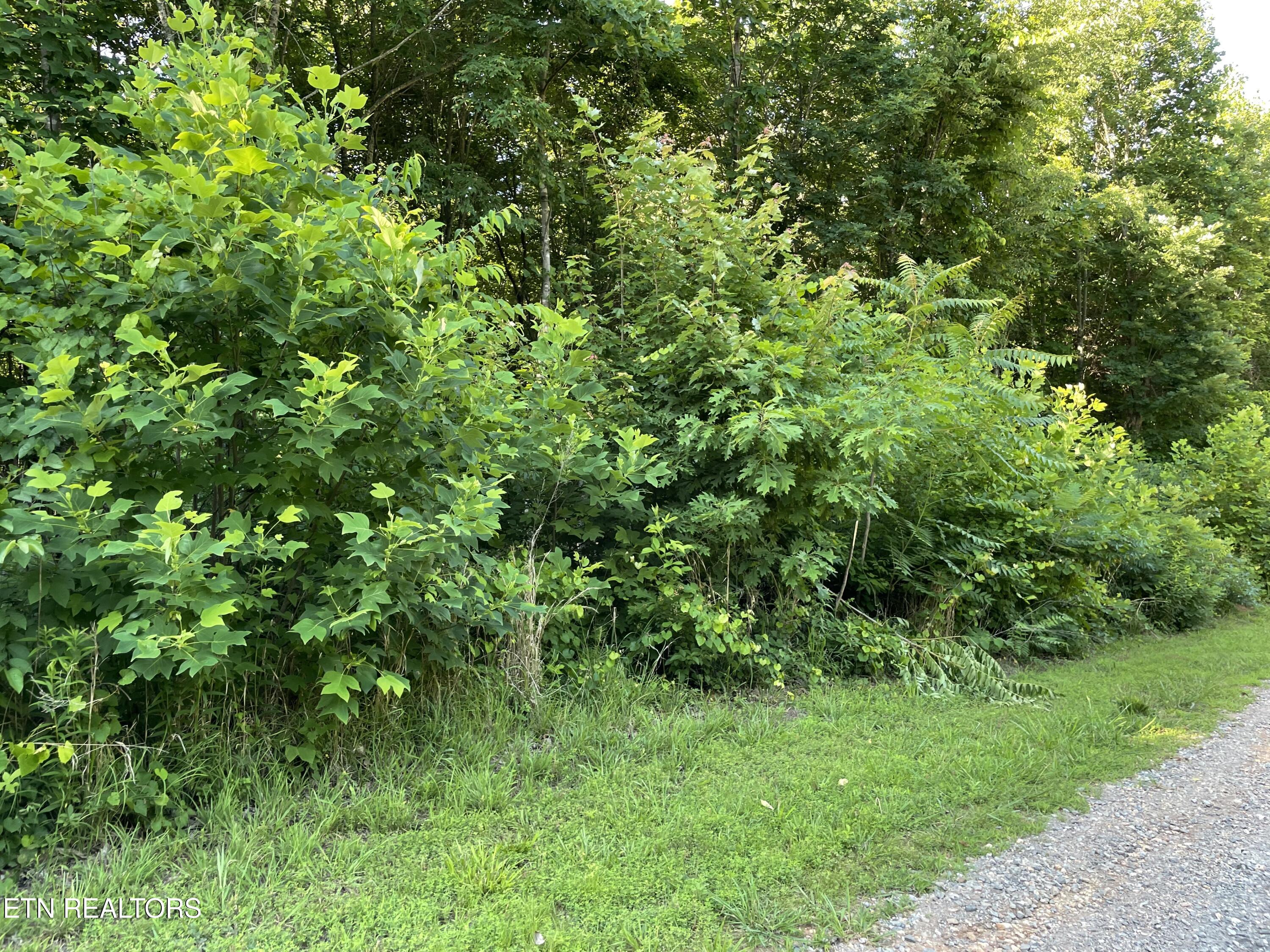 Highway 411 Madisonville TN 37354