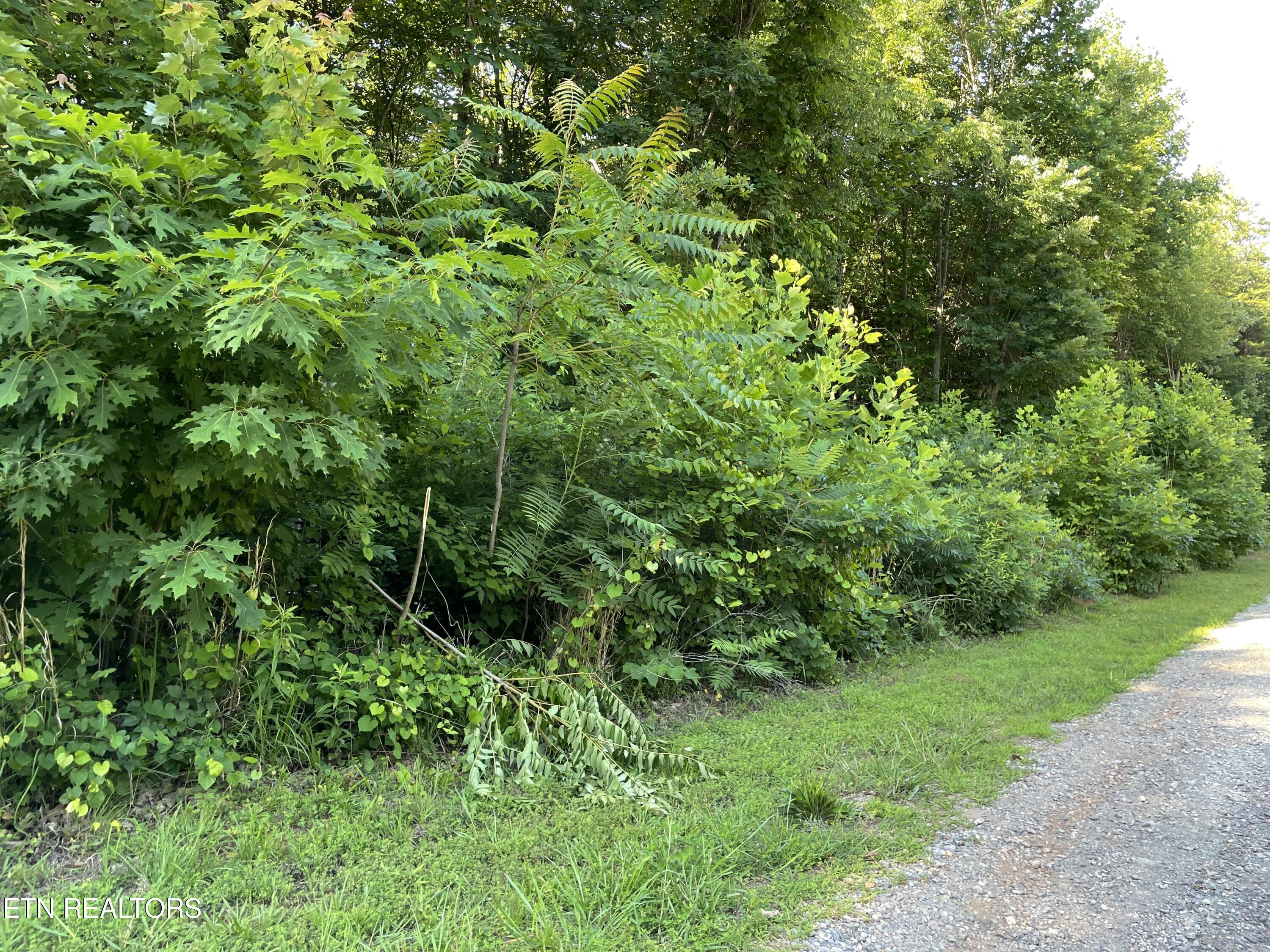 Highway 411 Madisonville TN 37354