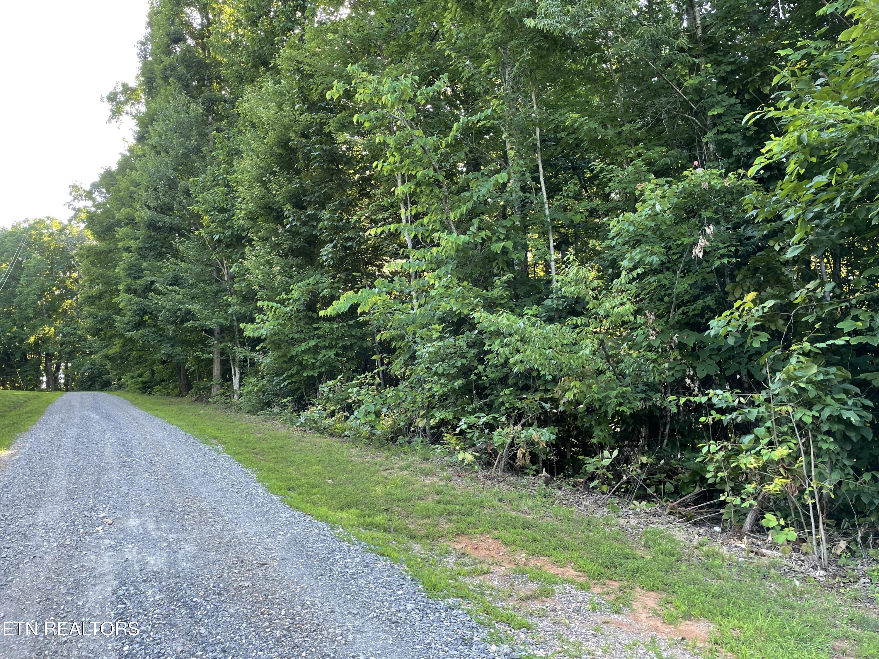 Highway 411 Madisonville TN 37354