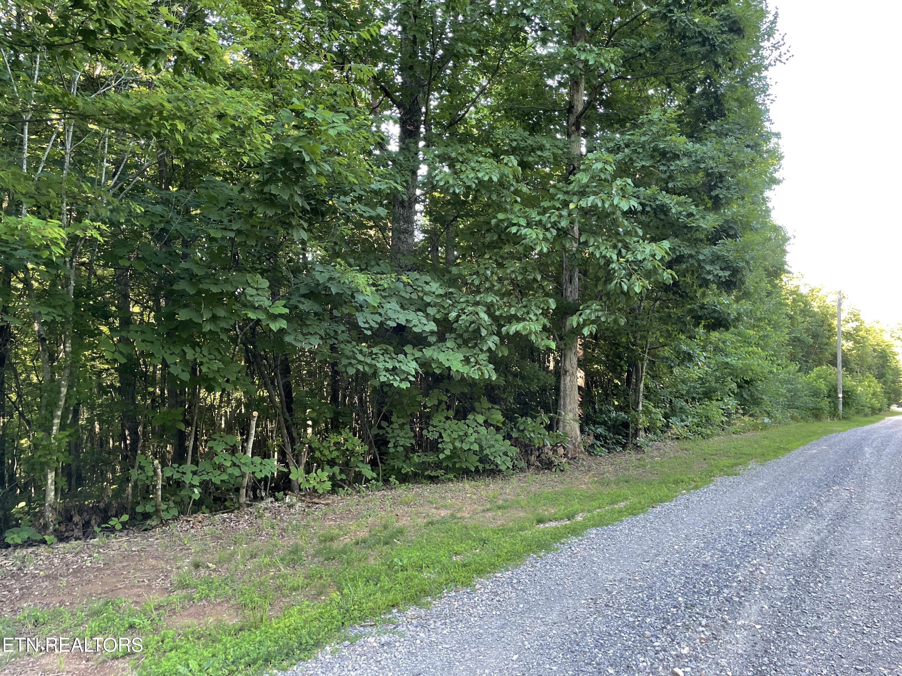 Highway 411 Madisonville TN 37354