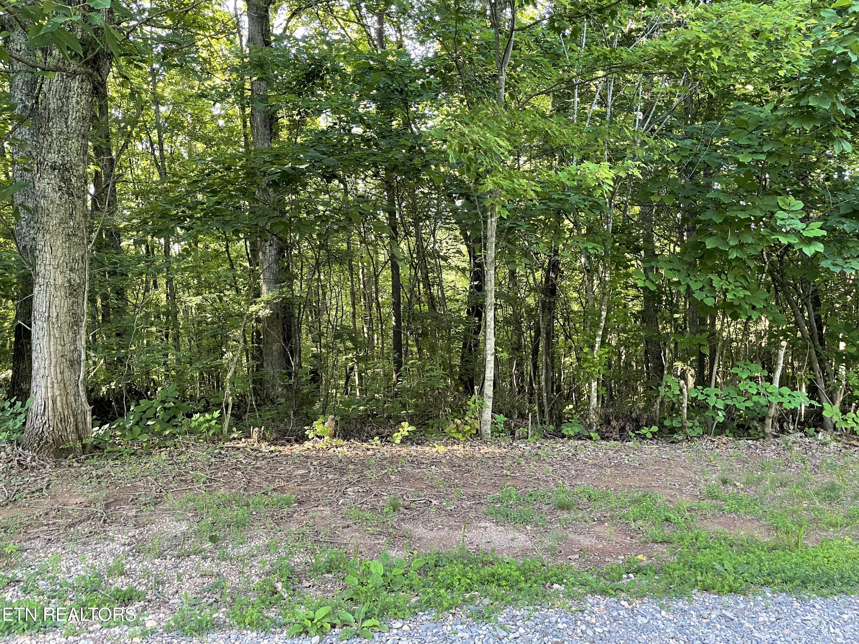Highway 411 Madisonville TN 37354
