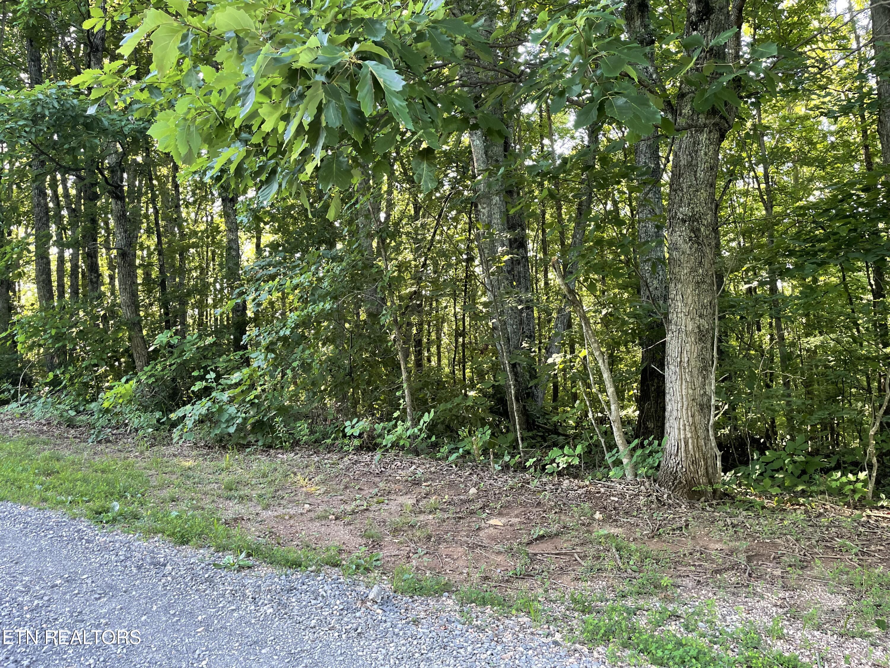 Highway 411 Madisonville TN 37354