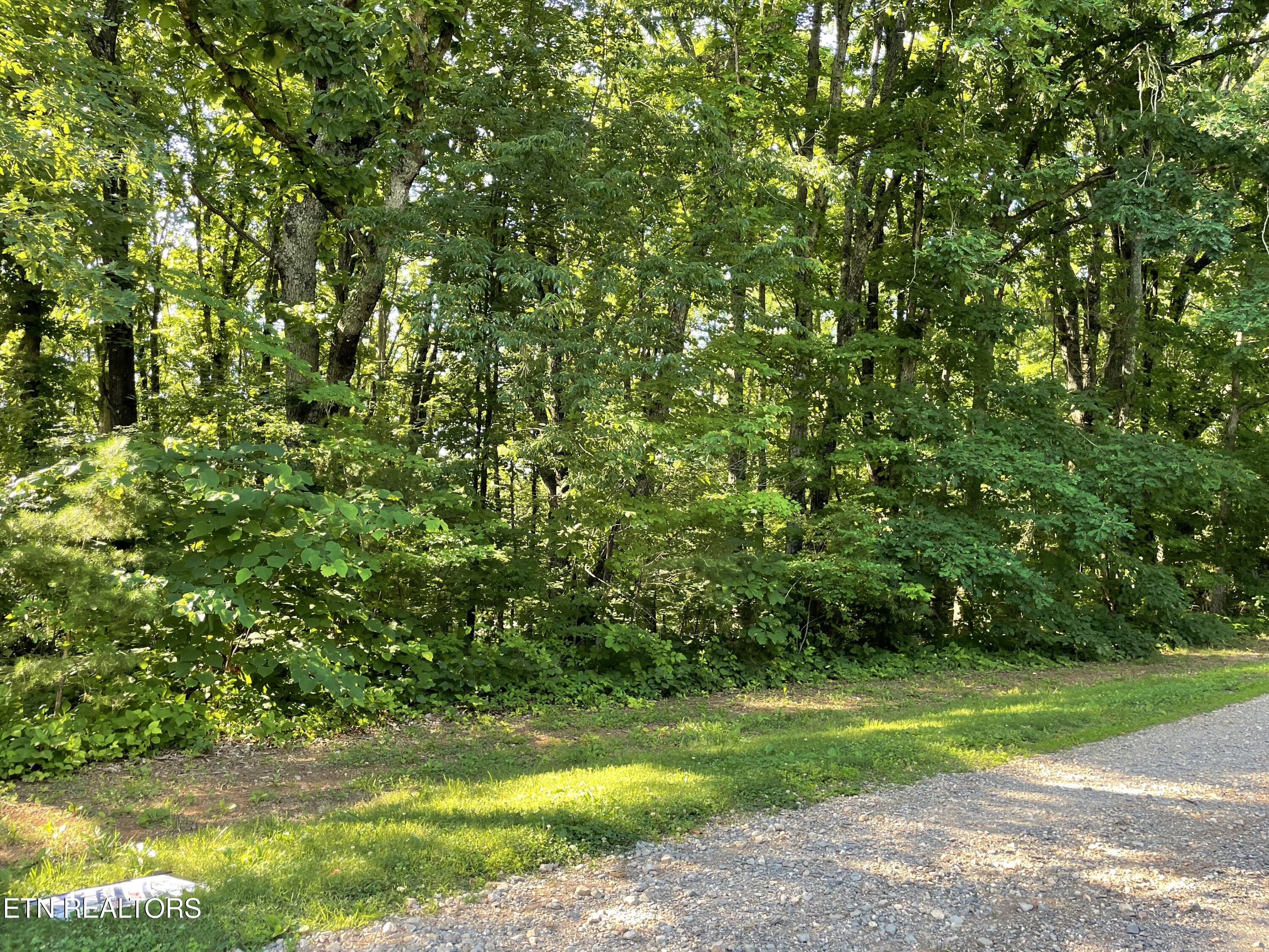 Highway 411 Madisonville TN 37354