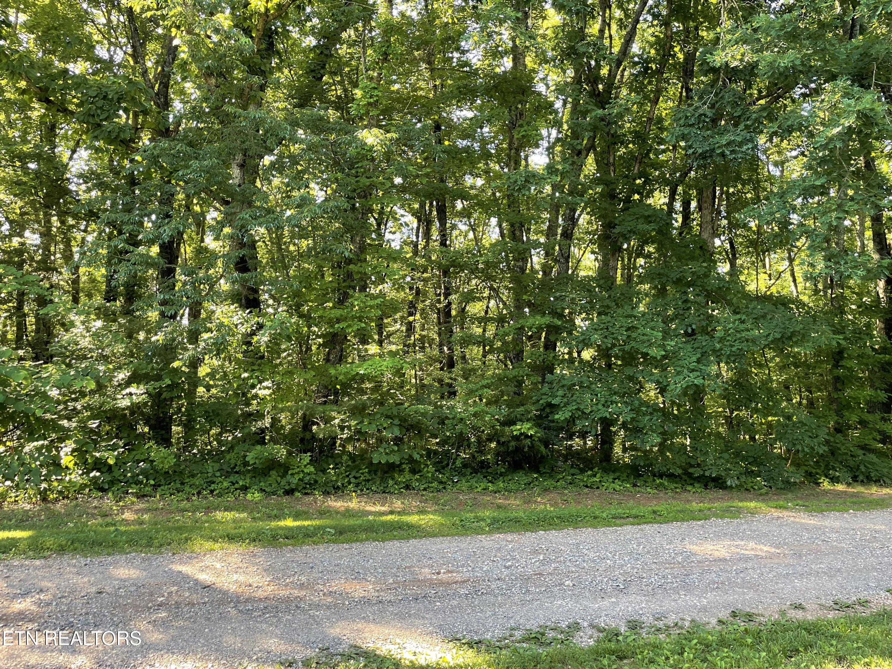 Highway 411 Madisonville TN 37354