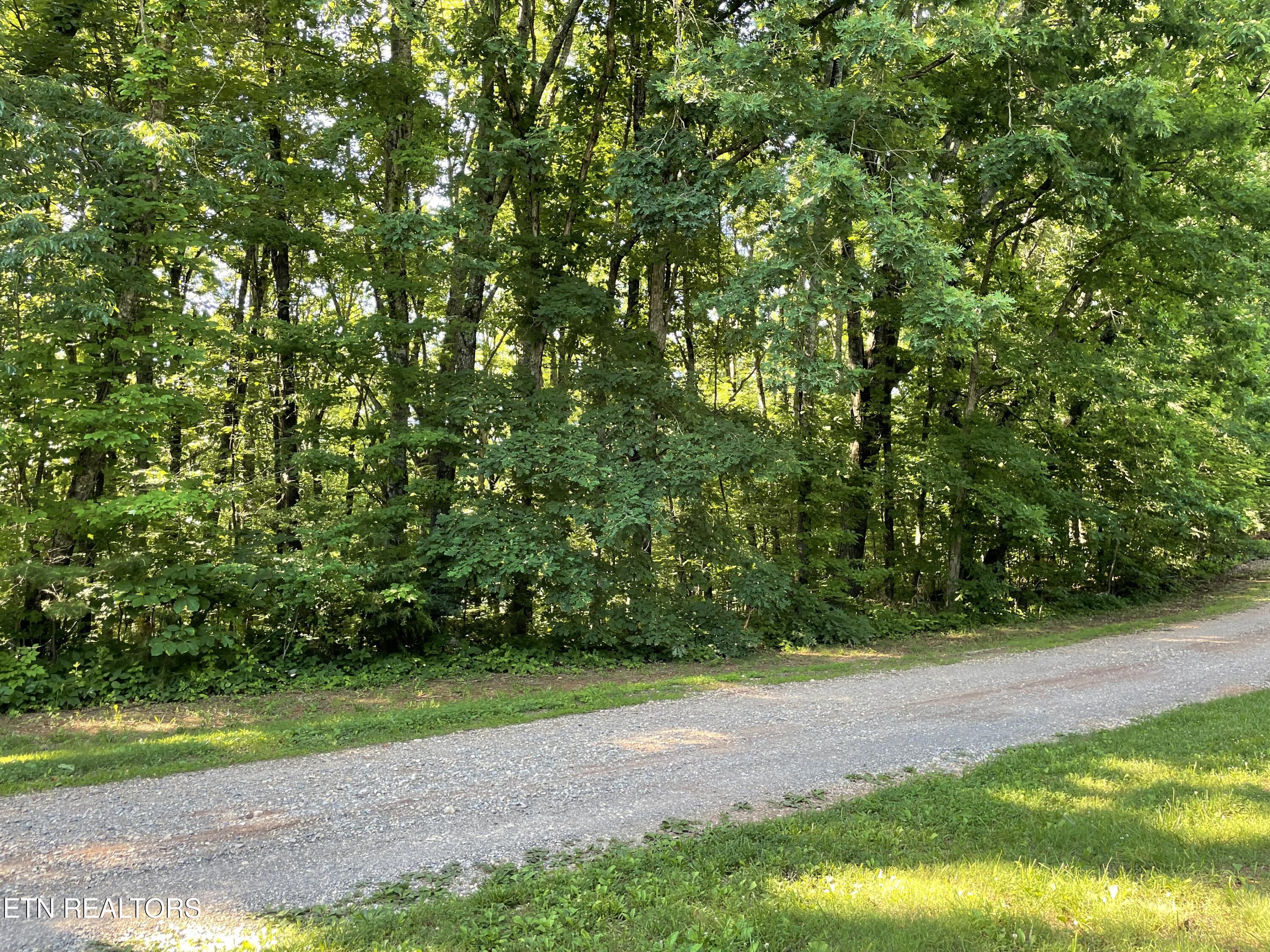 Highway 411 Madisonville TN 37354
