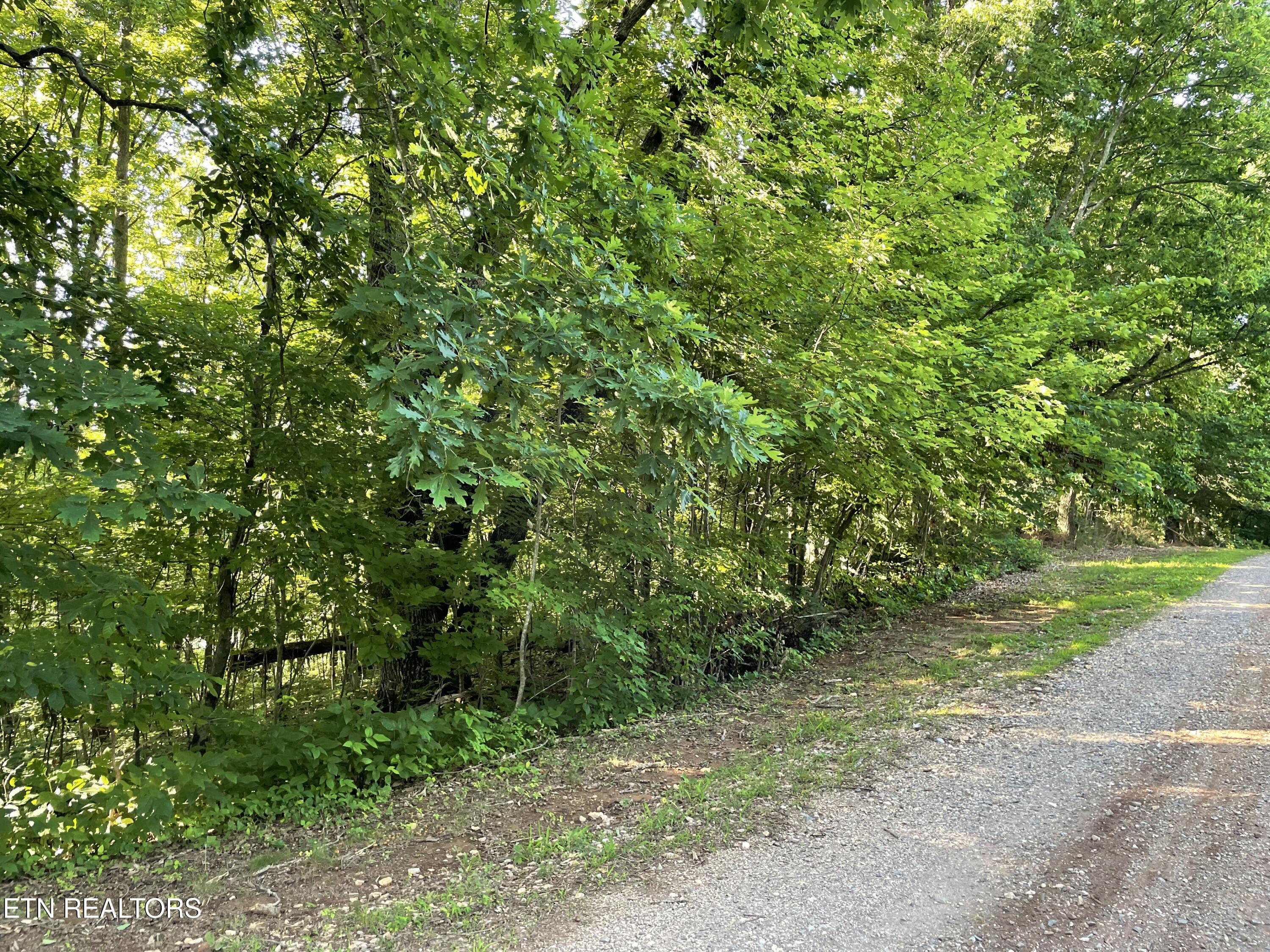 Highway 411 Madisonville TN 37354