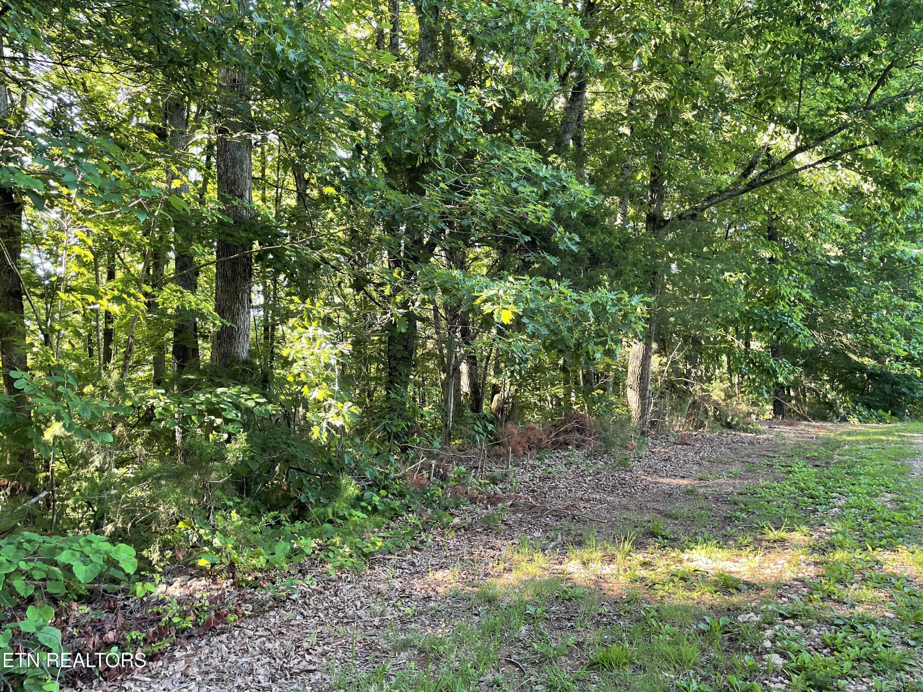 Highway 411 Madisonville TN 37354