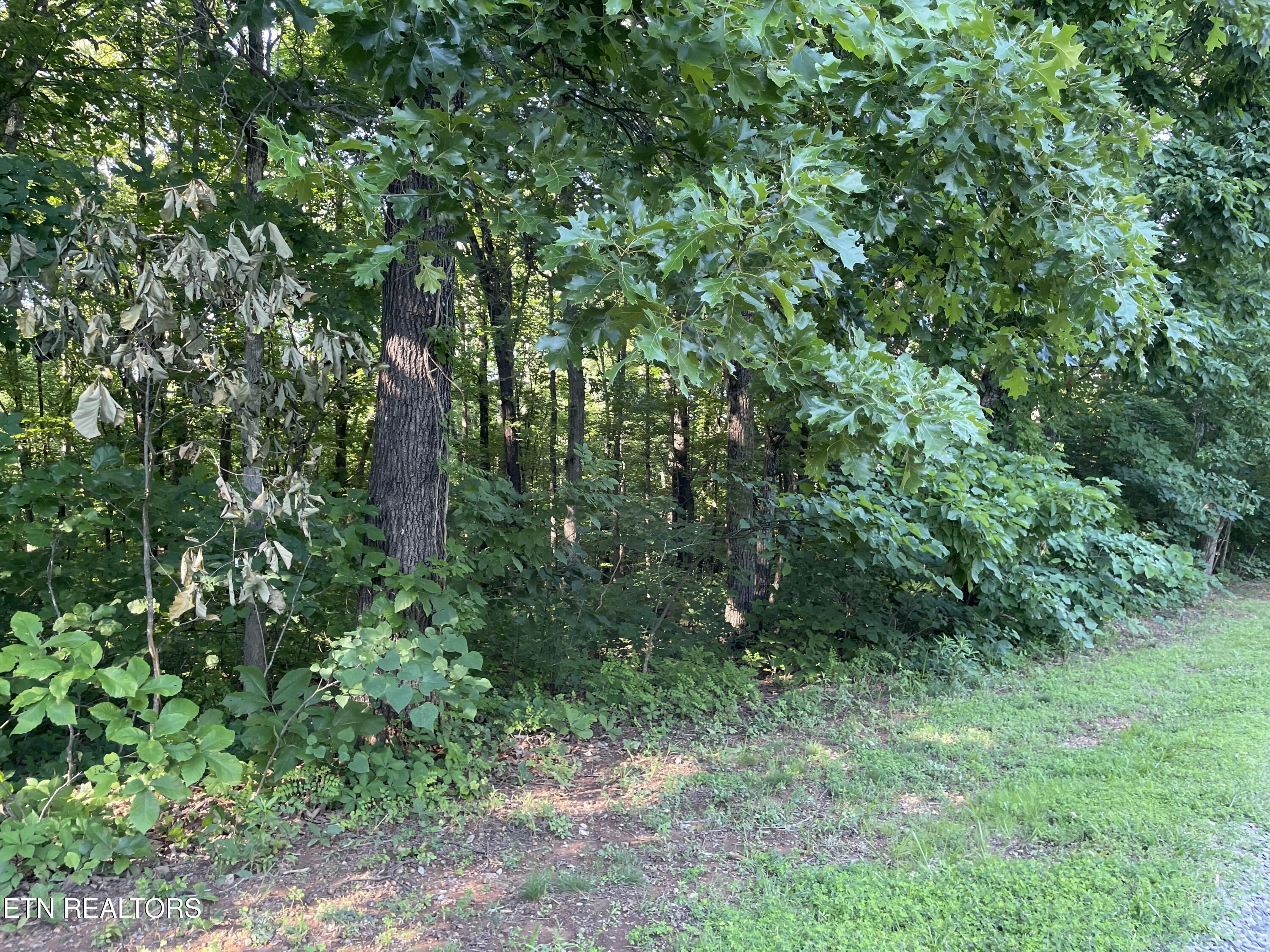 Highway 411 Madisonville TN 37354