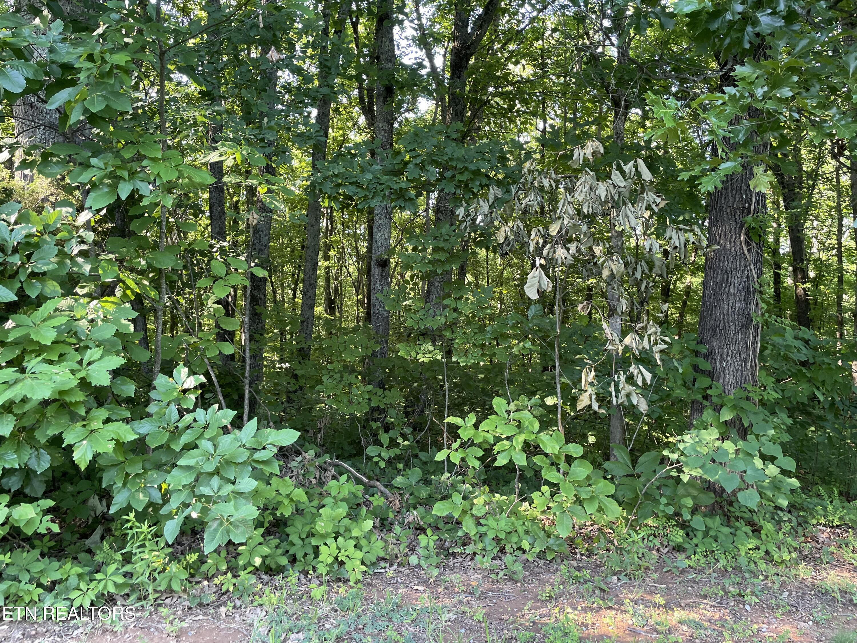 Highway 411 Madisonville TN 37354
