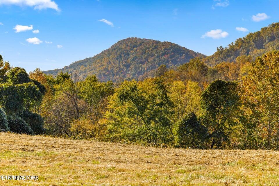 Colonial Lane Rocky Top TN 37769