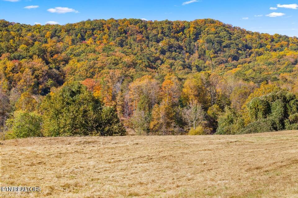 Colonial Lane Rocky Top TN 37769