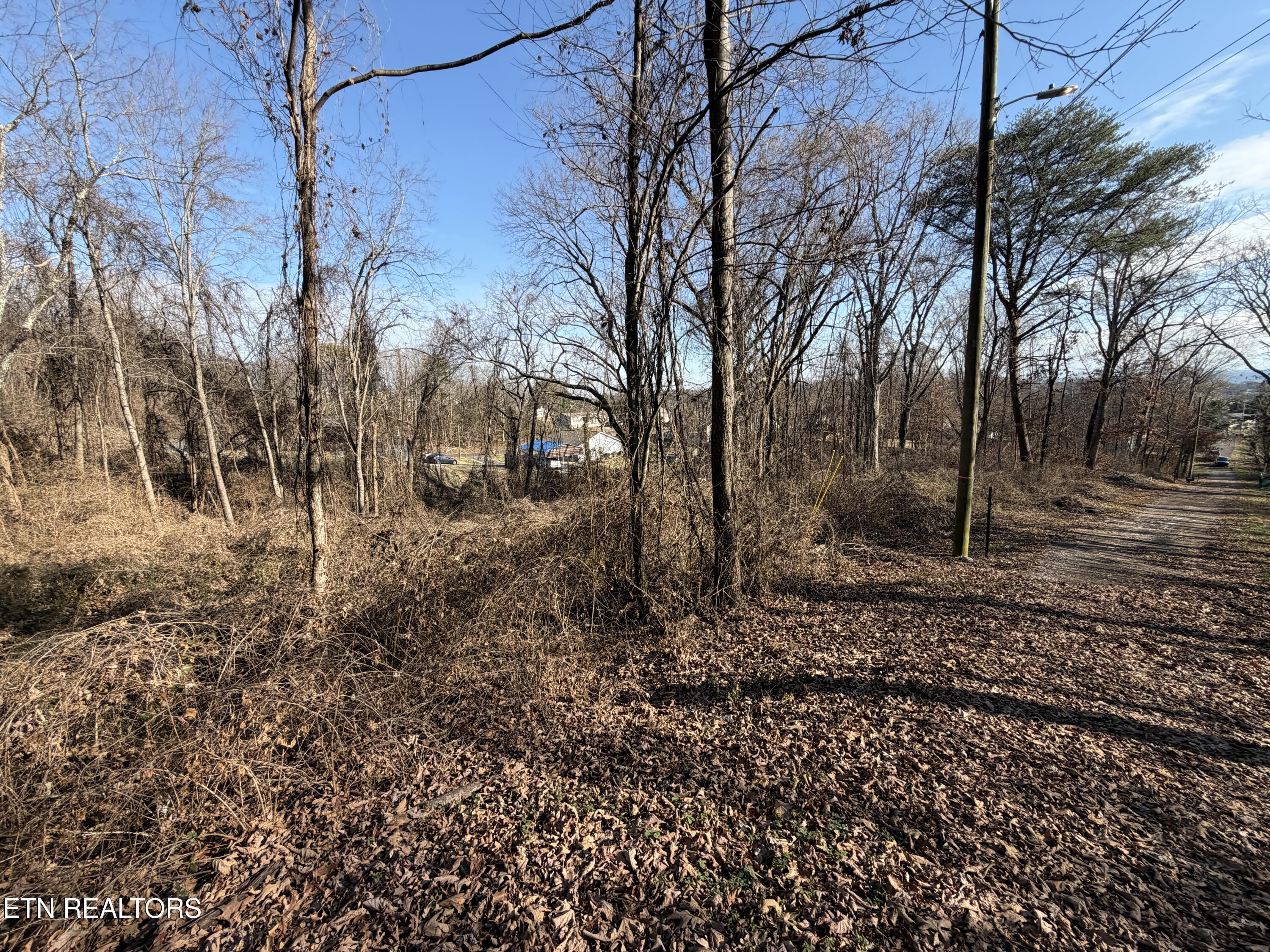 3436 Divide Street Knoxville TN 37921