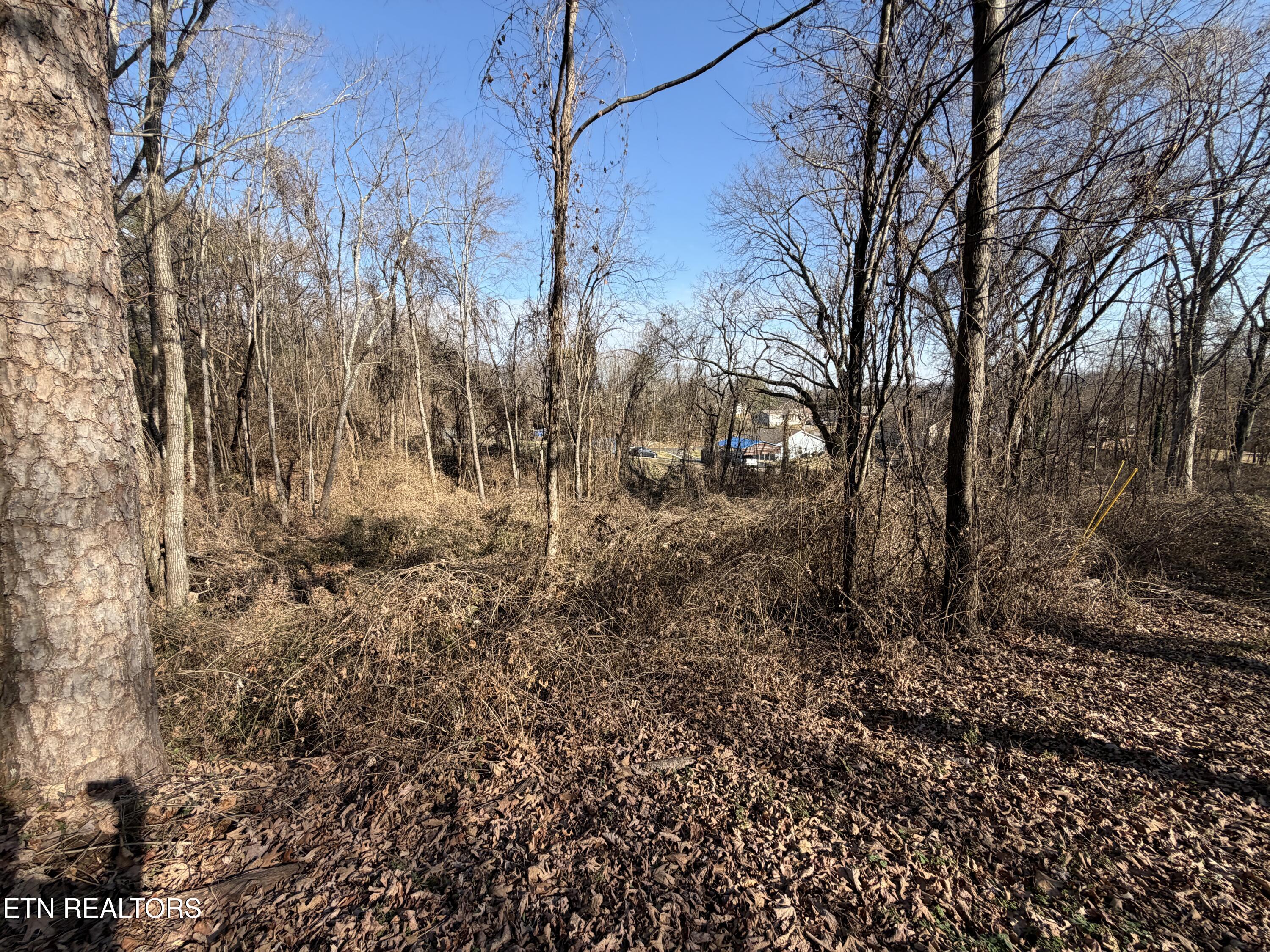3436 Divide Street Knoxville TN 37921