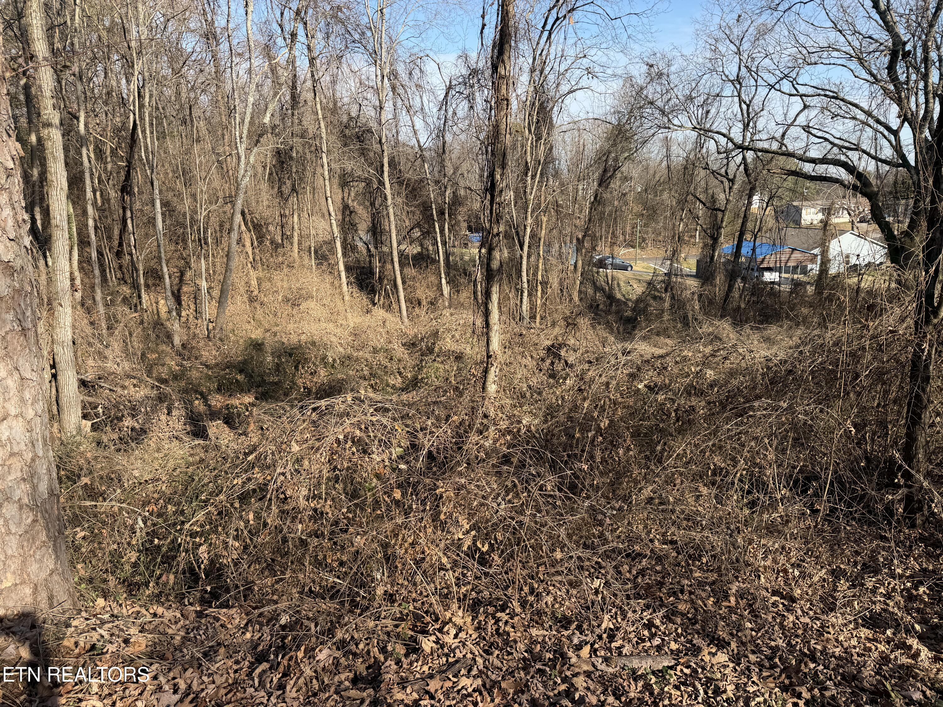 3436 Divide Street Knoxville TN 37921