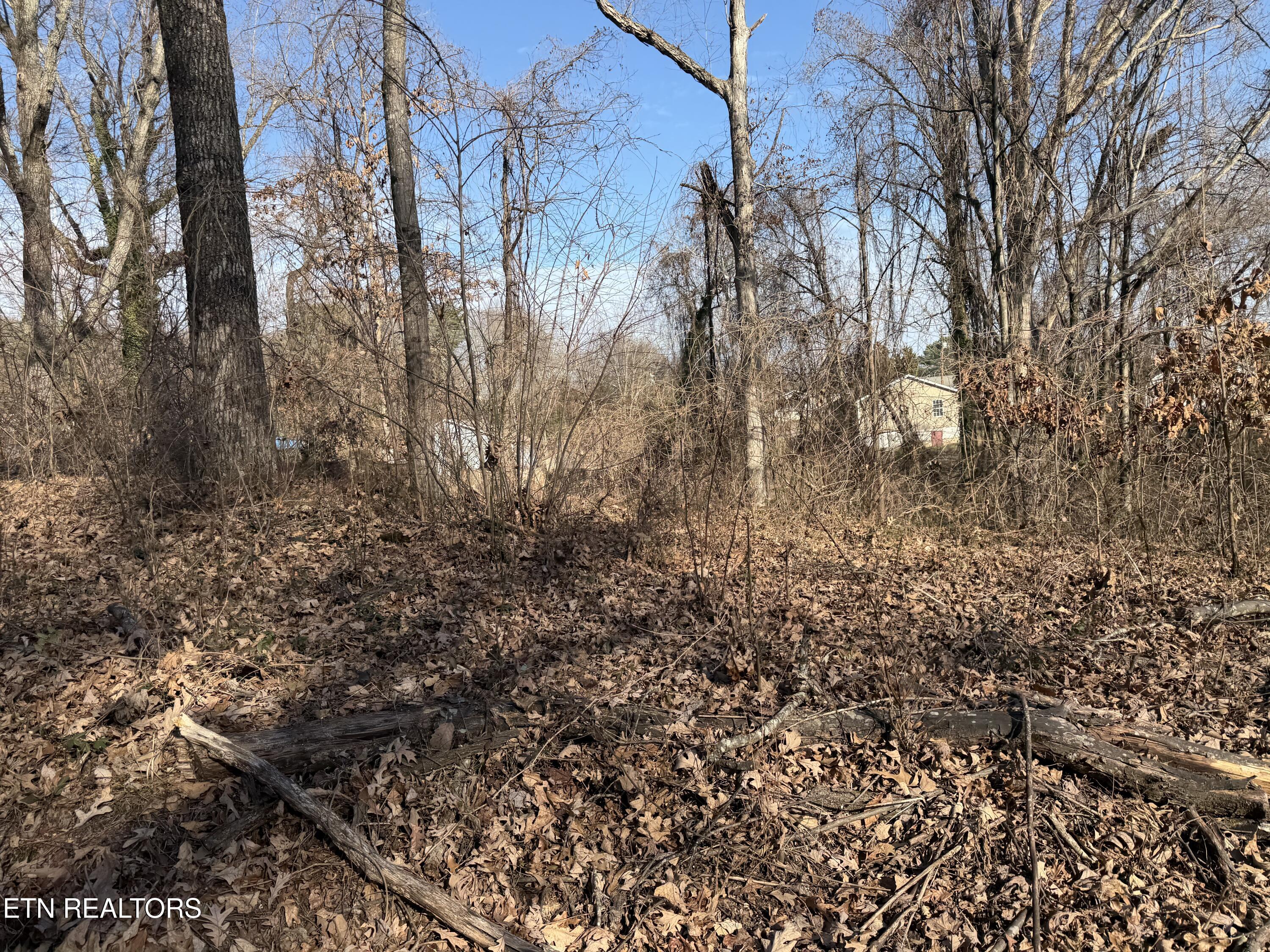 3436 Divide Street Knoxville TN 37921