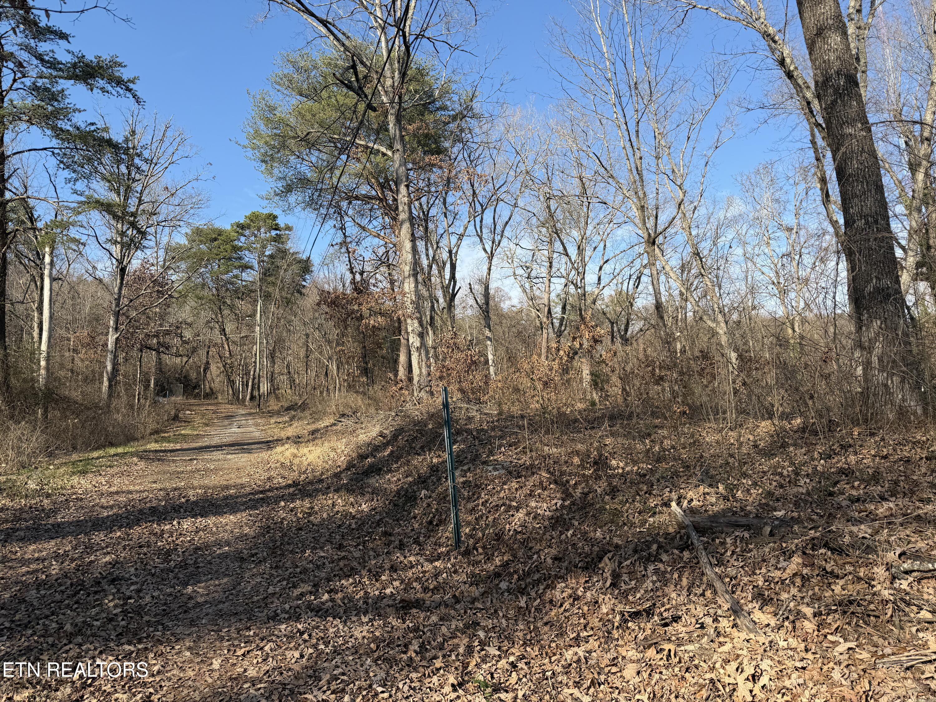 3436 Divide Street Knoxville TN 37921