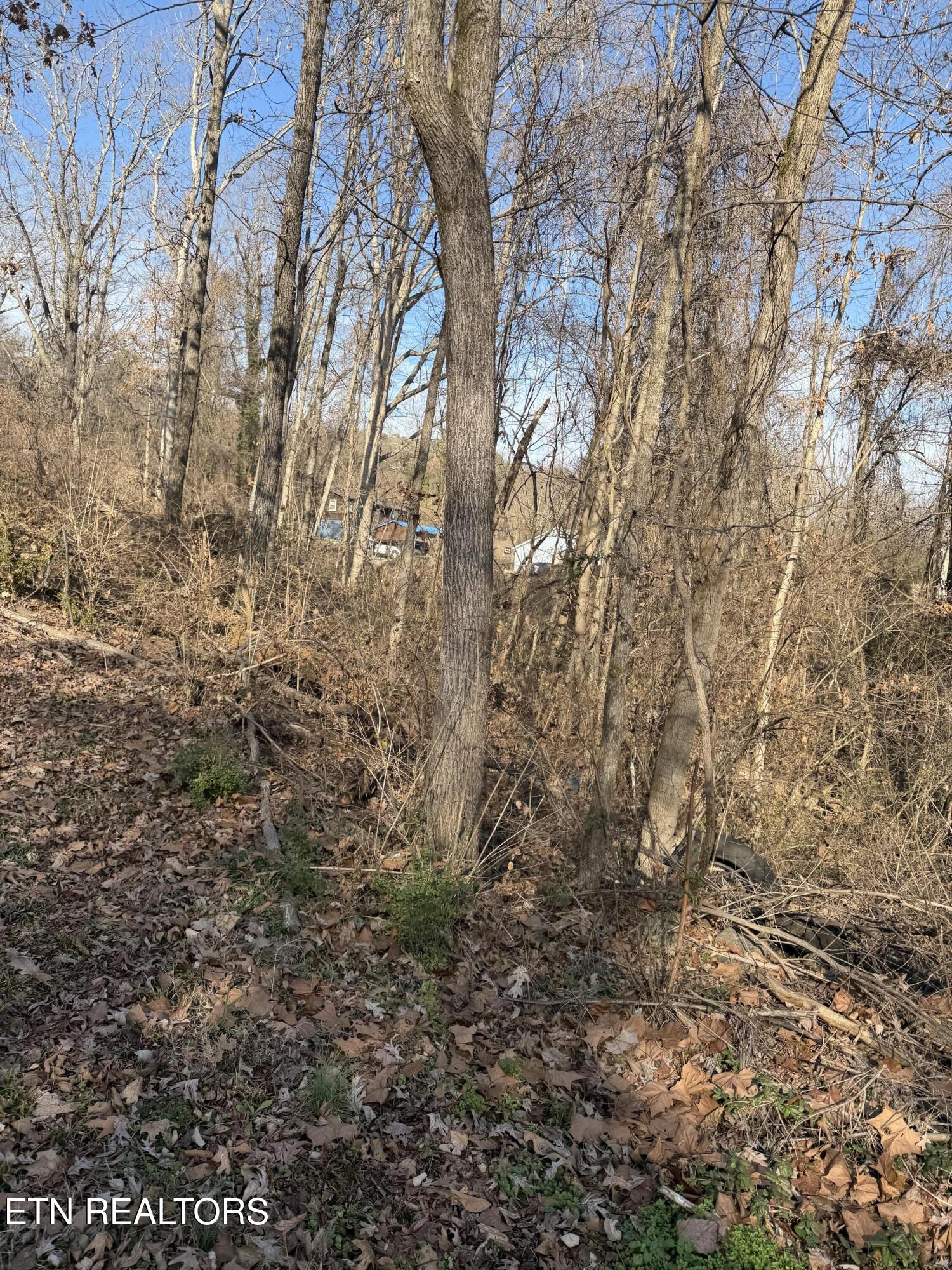 3436 Divide Street Knoxville TN 37921