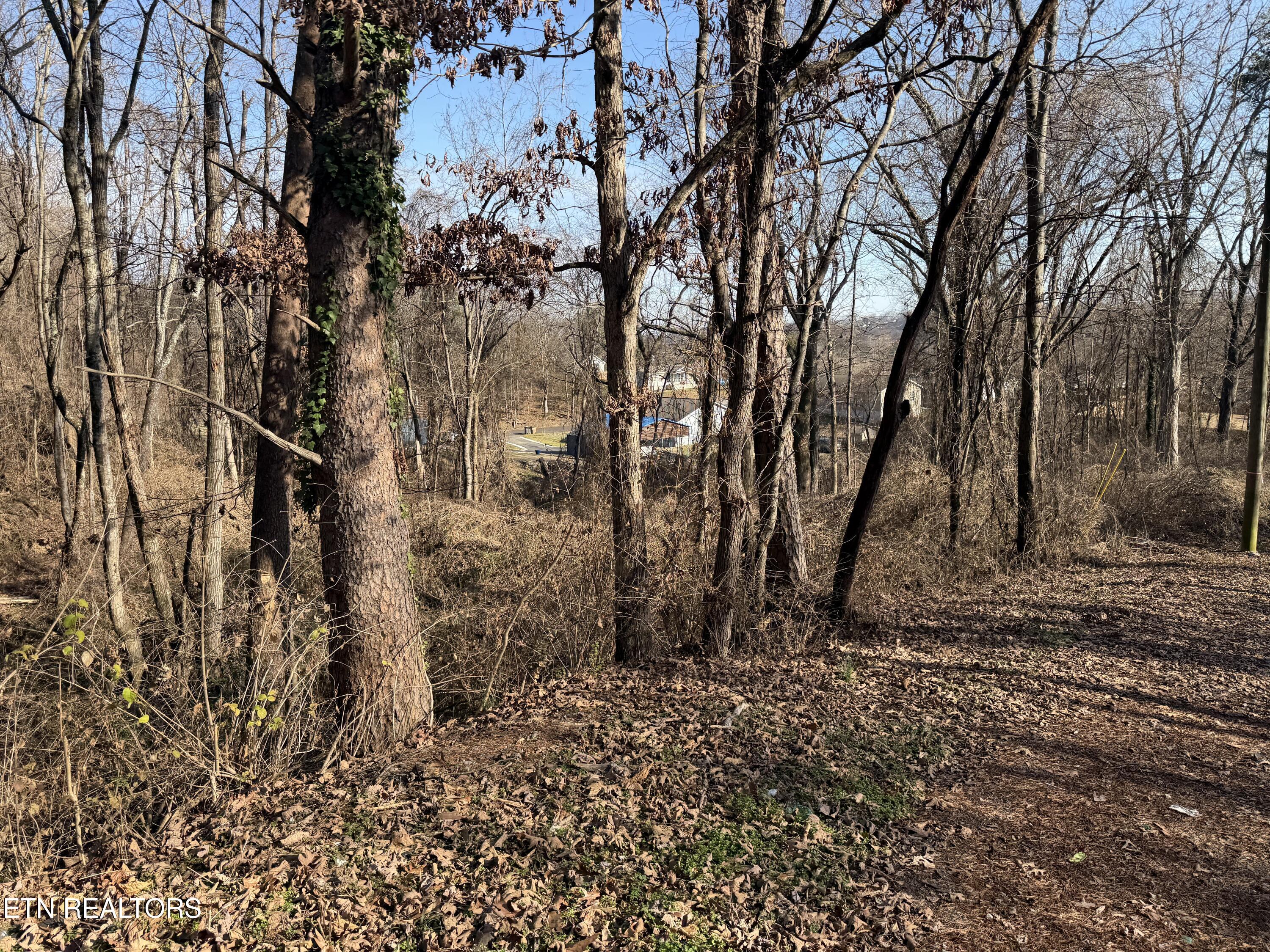 3436 Divide Street Knoxville TN 37921