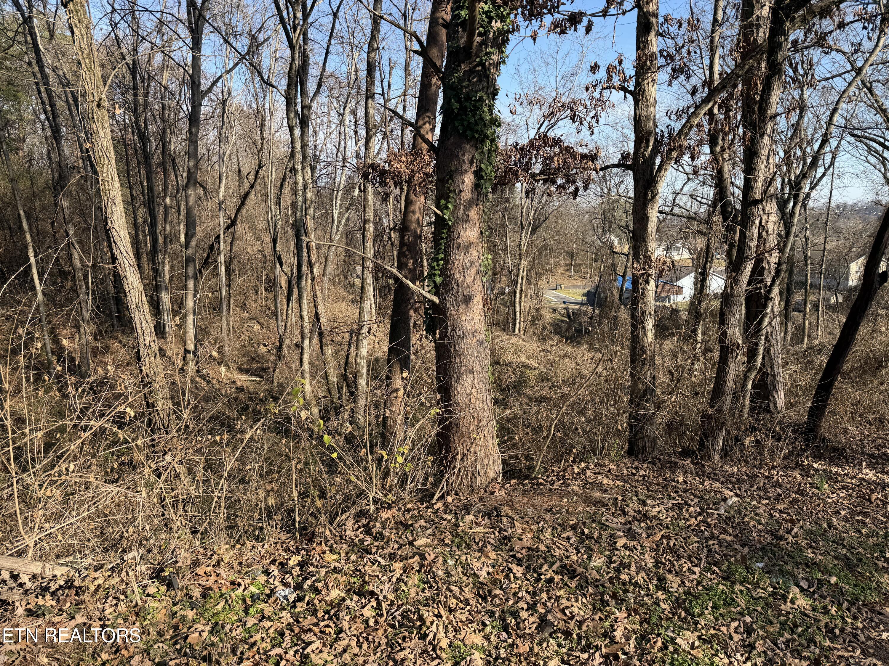 3436 Divide Street Knoxville TN 37921