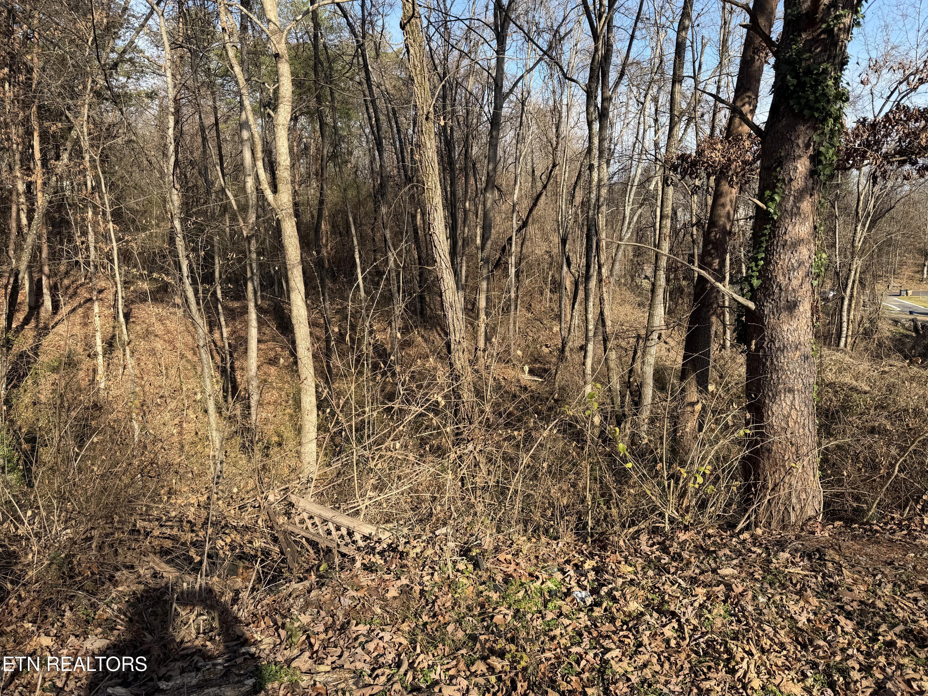 3436 Divide Street Knoxville TN 37921