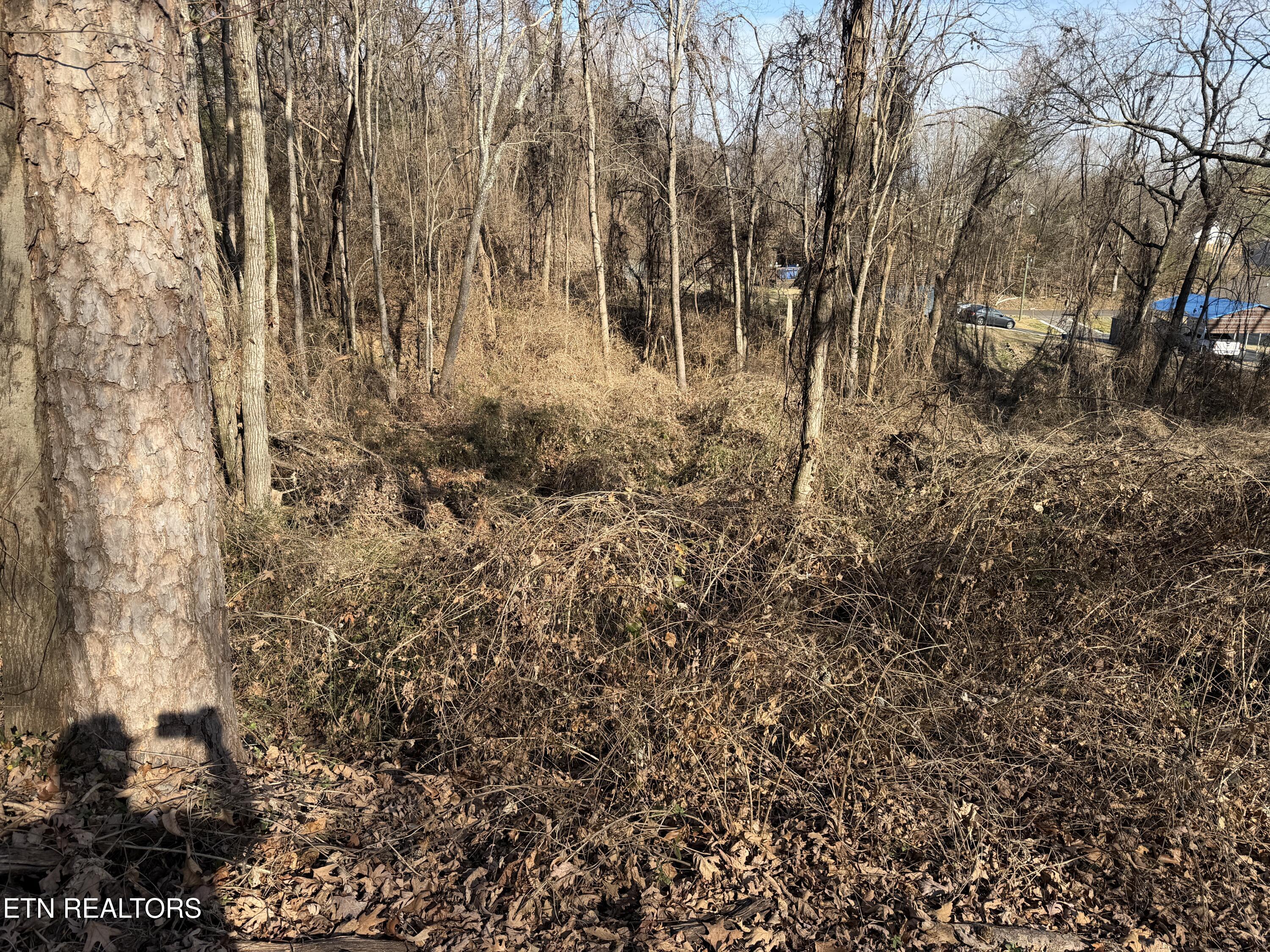 3436 Divide Street Knoxville TN 37921