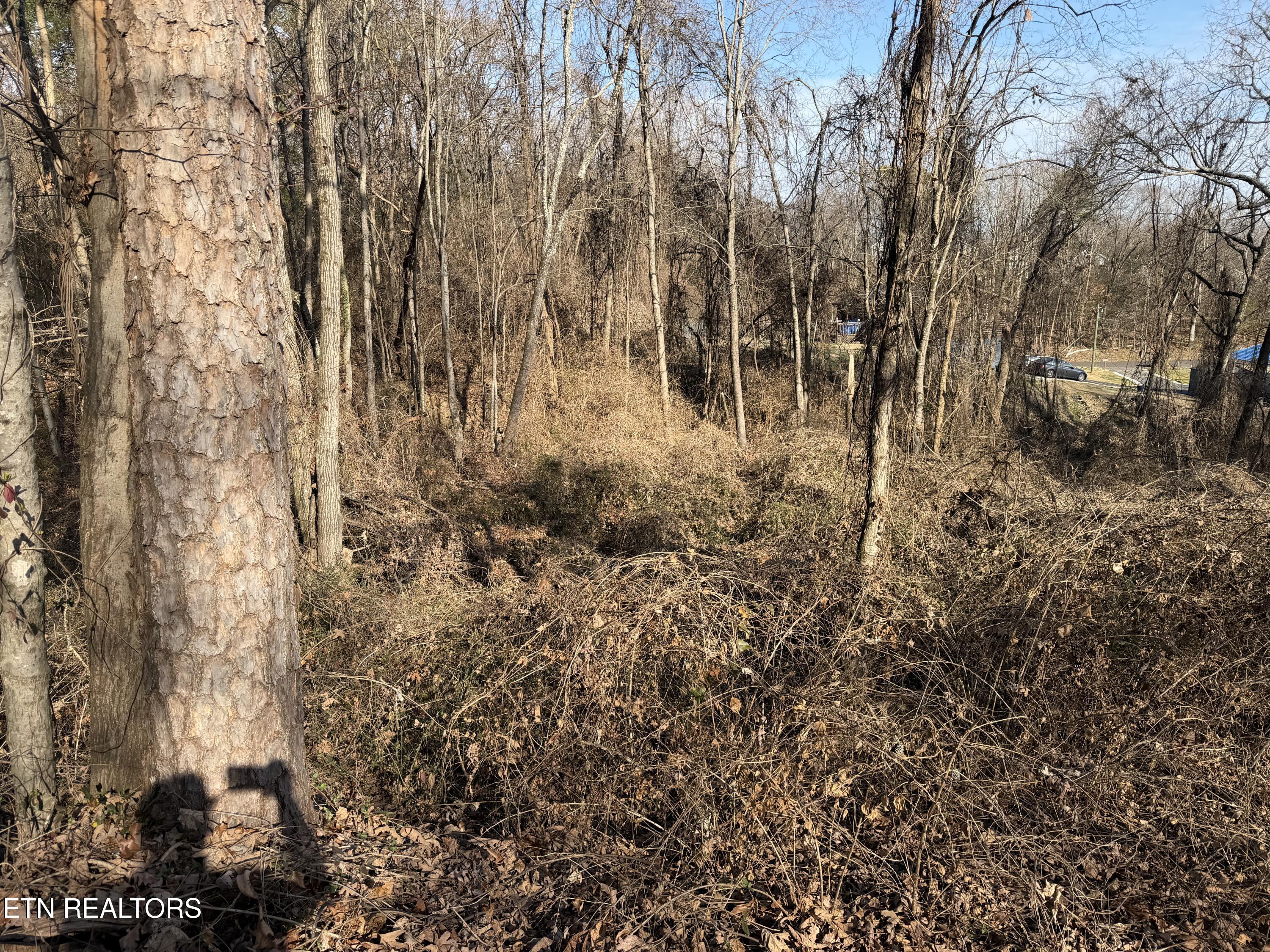 3436 Divide Street Knoxville TN 37921