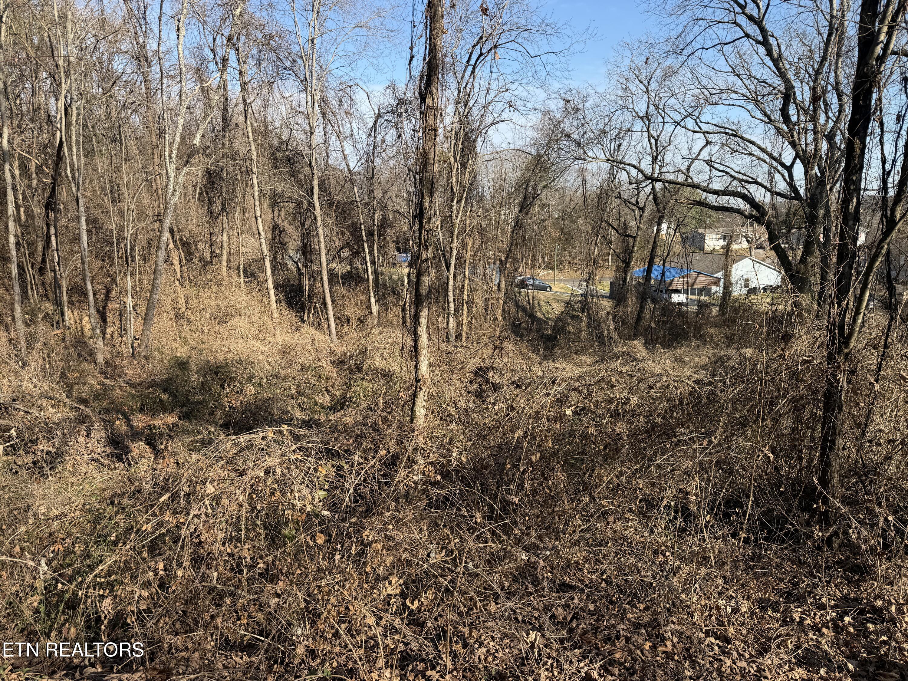 3436 Divide Street Knoxville TN 37921