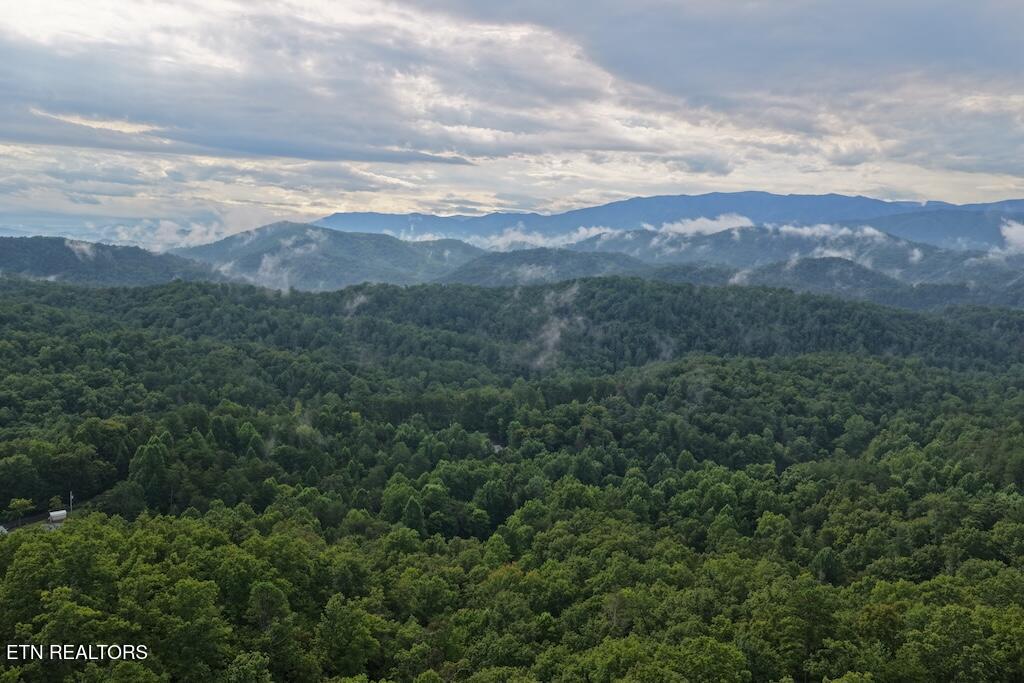 Lot 42 Shady Oaks Way Sevierville TN 37876