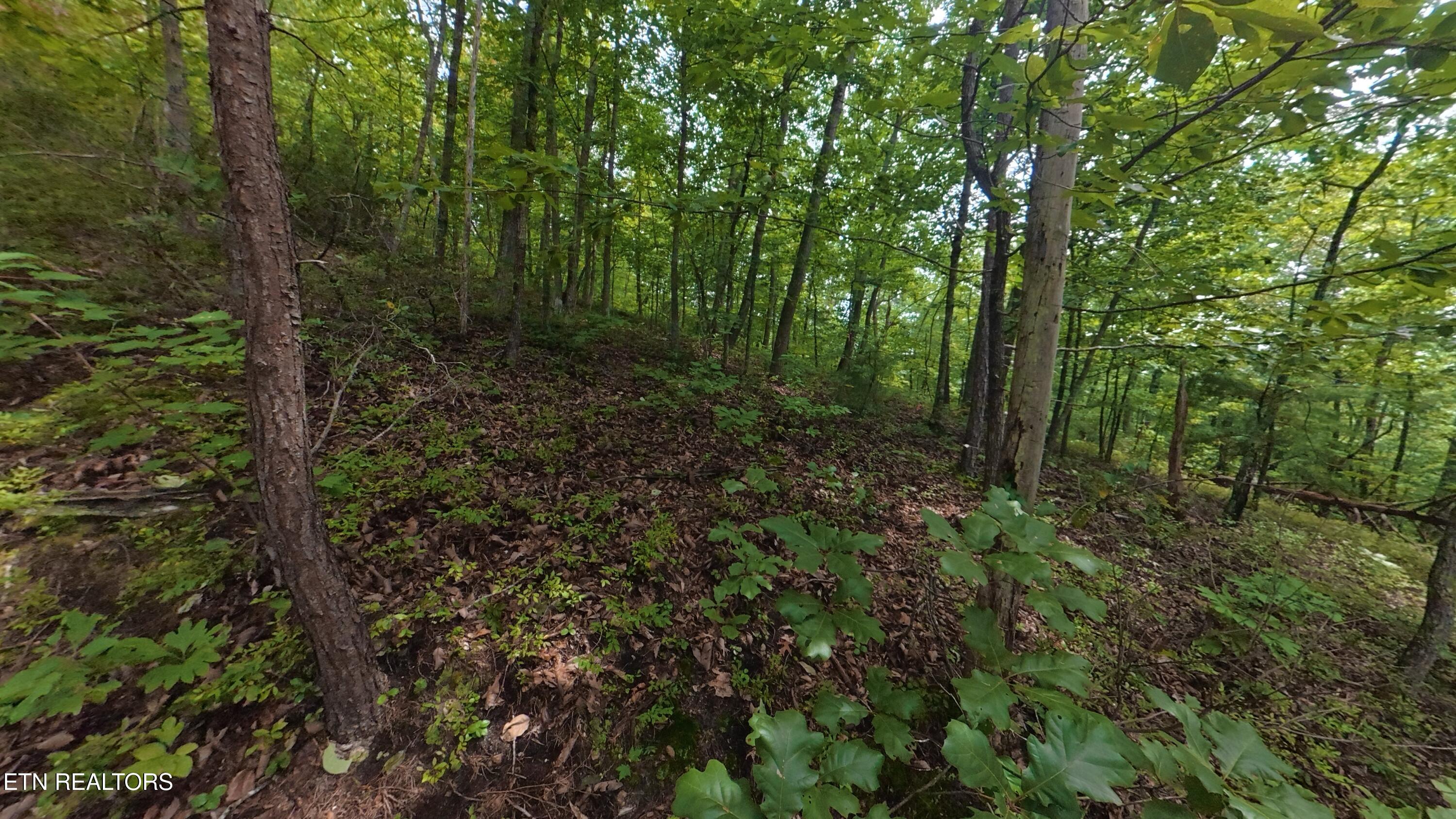 Lot 42 Shady Oaks Way Sevierville TN 37876