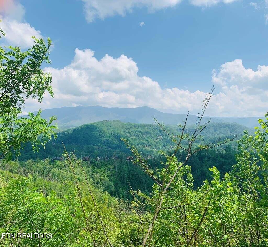 Kristis Place Gatlinburg TN 37738