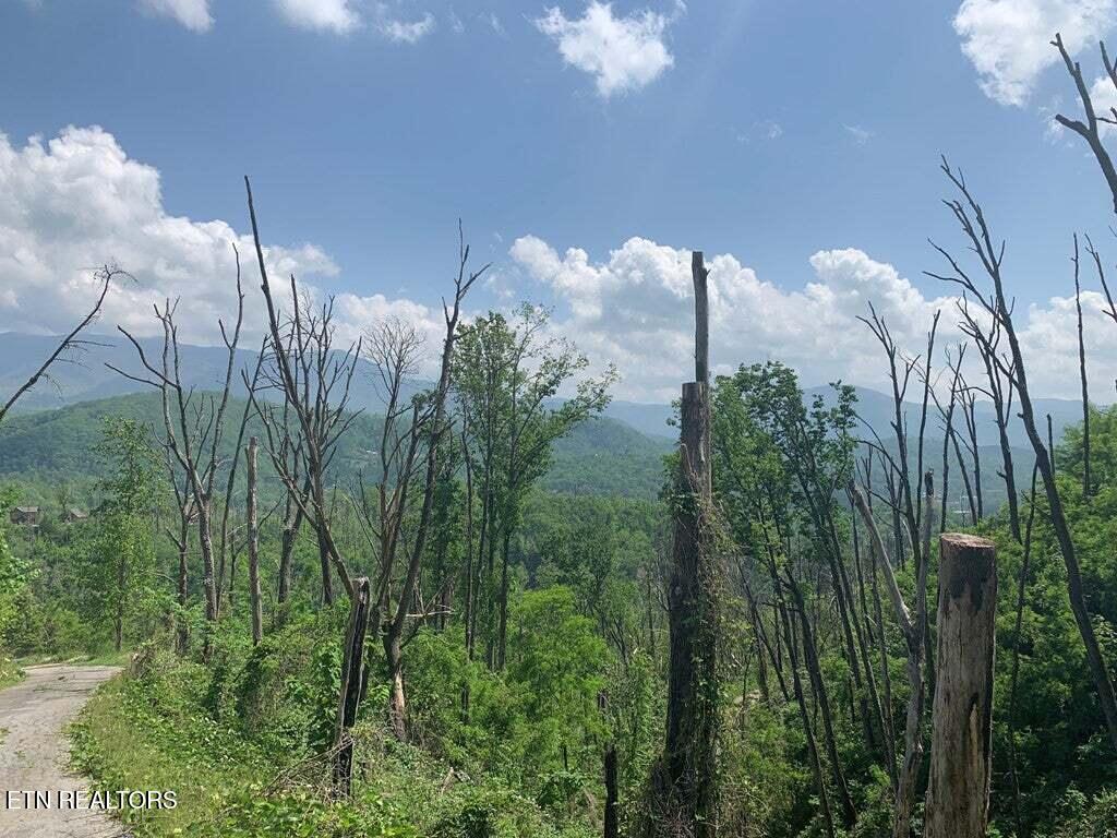 Kristis Place Gatlinburg TN 37738